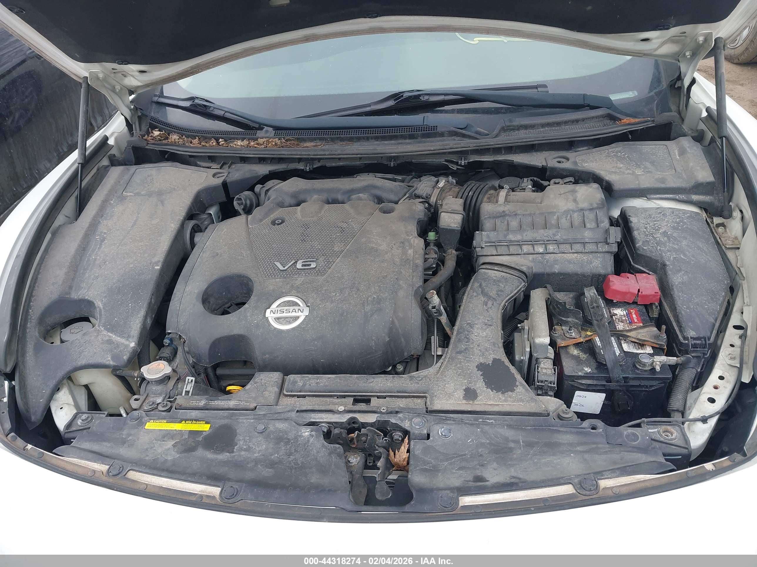 NISSAN MAXIMA image 10