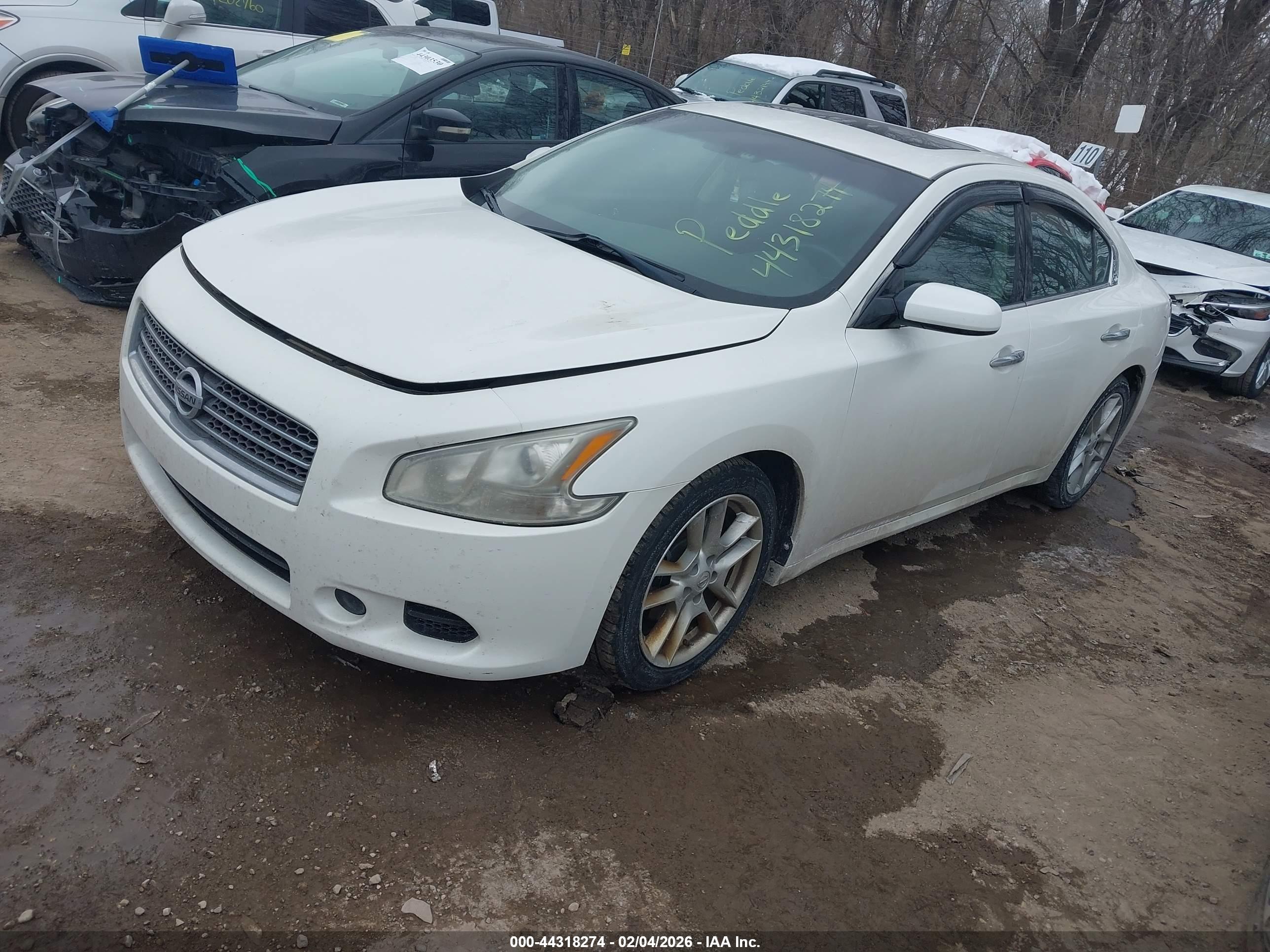 NISSAN MAXIMA image 2