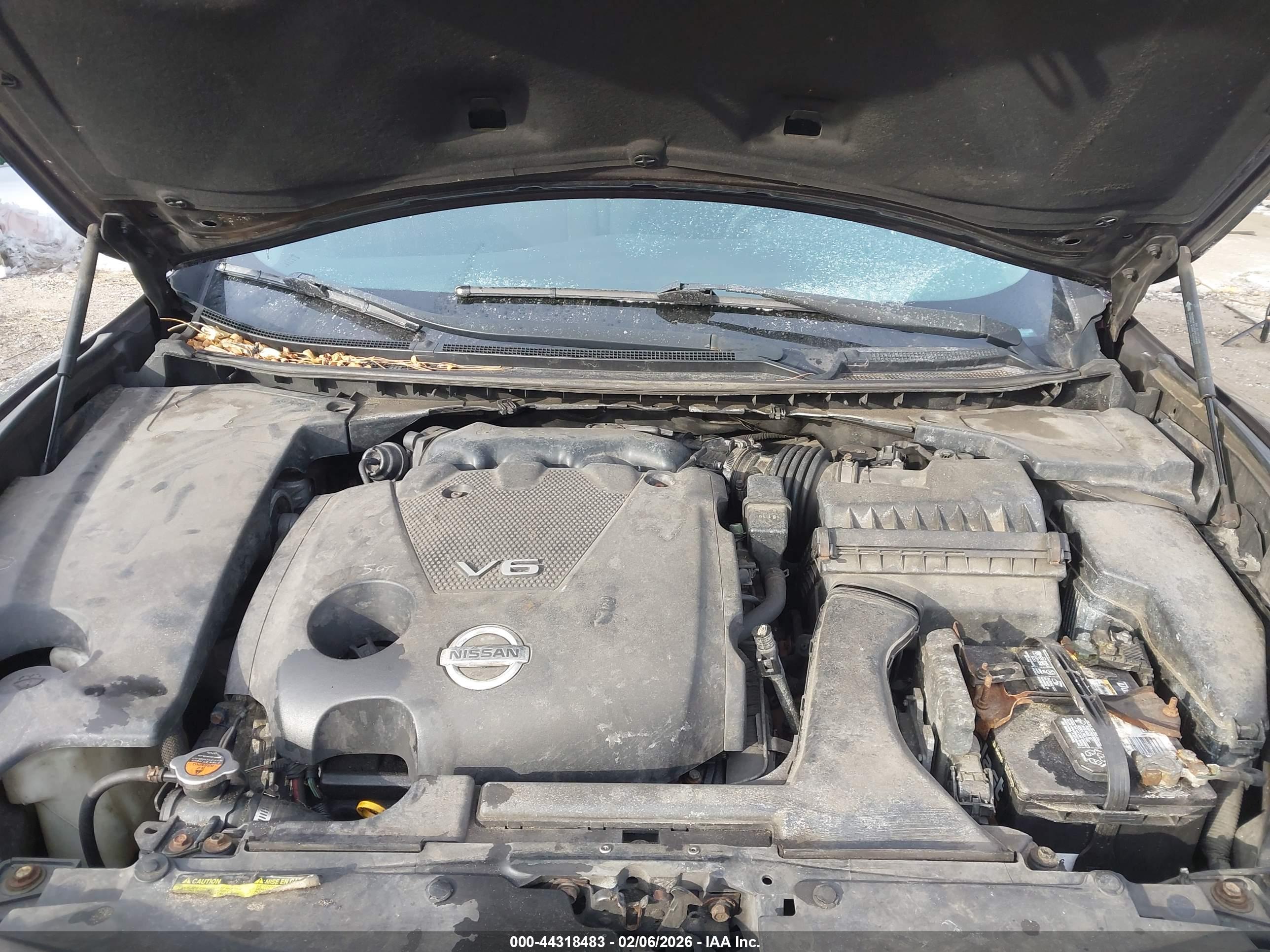 NISSAN MAXIMA image 10
