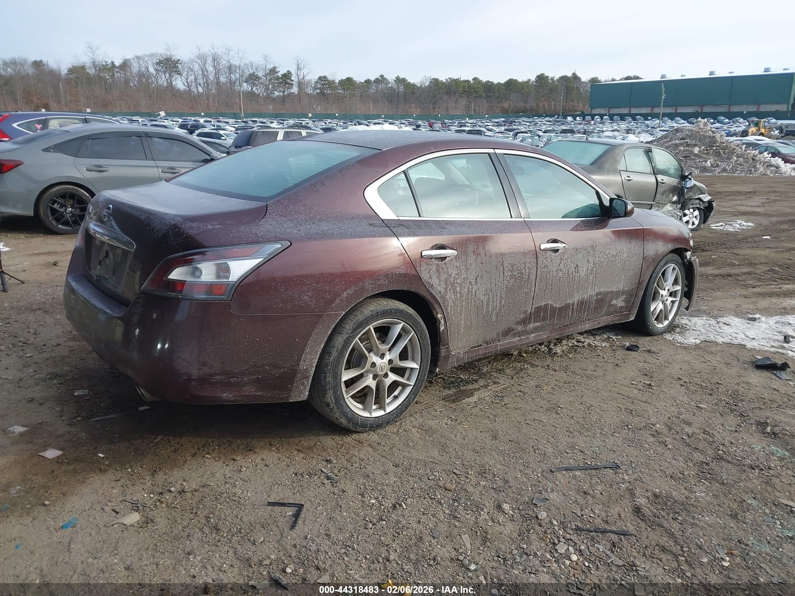 NISSAN MAXIMA image 4