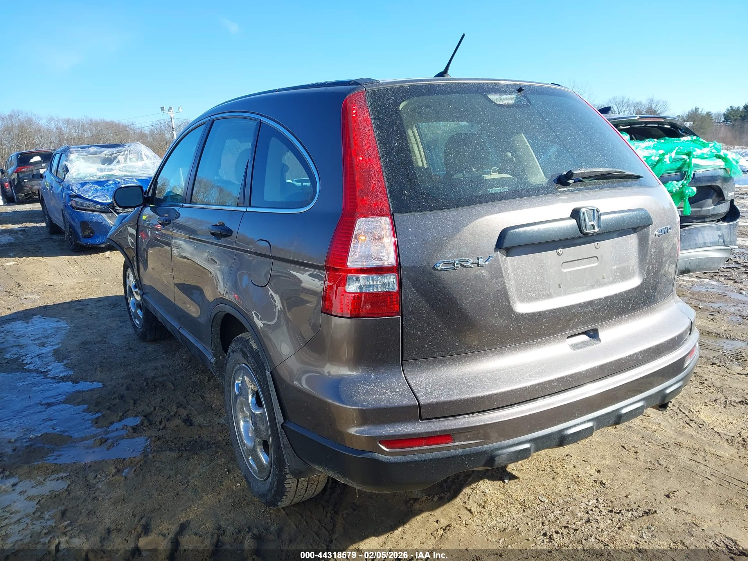 HONDA CR-V image 3
