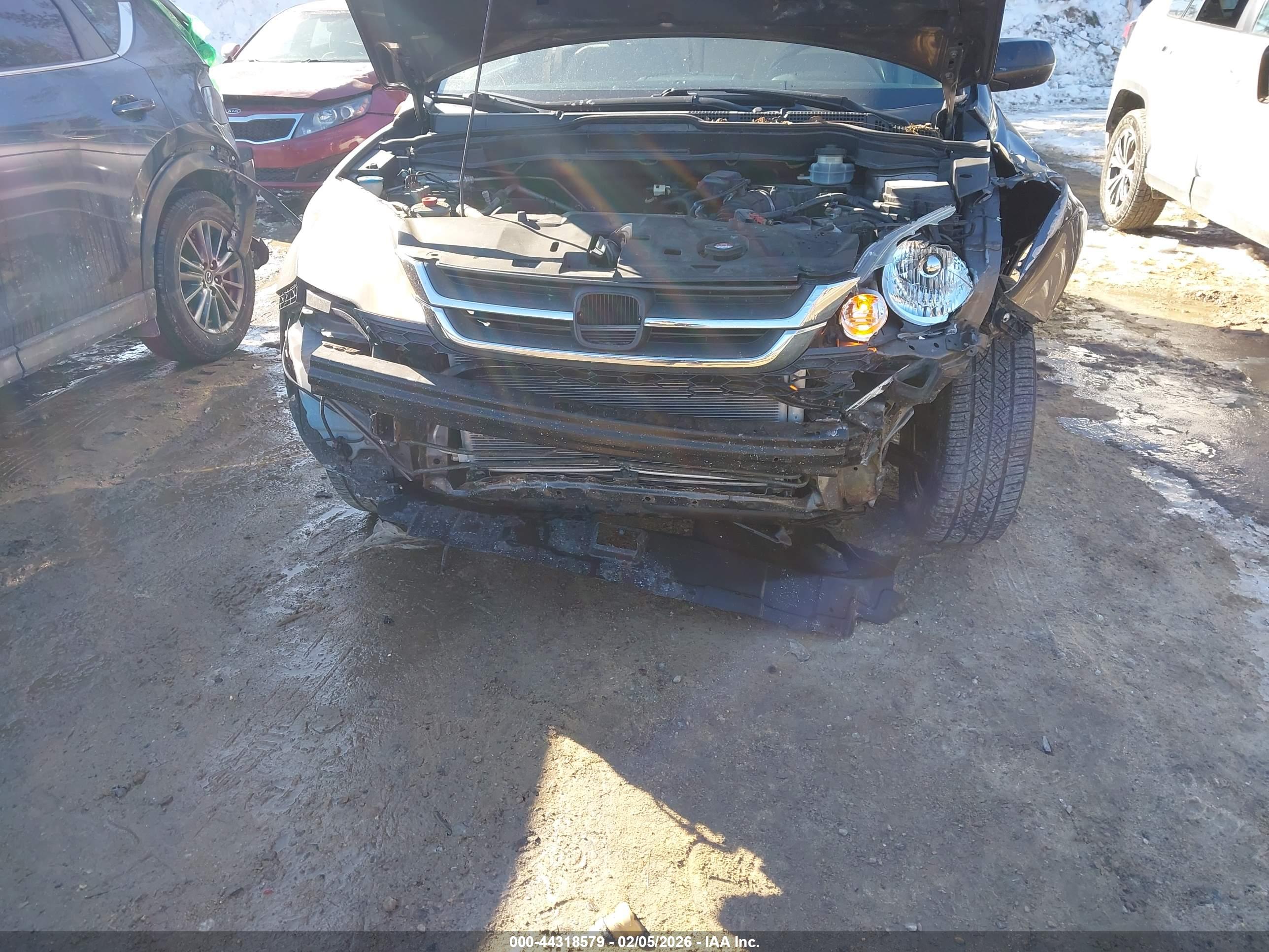 HONDA CR-V image 6