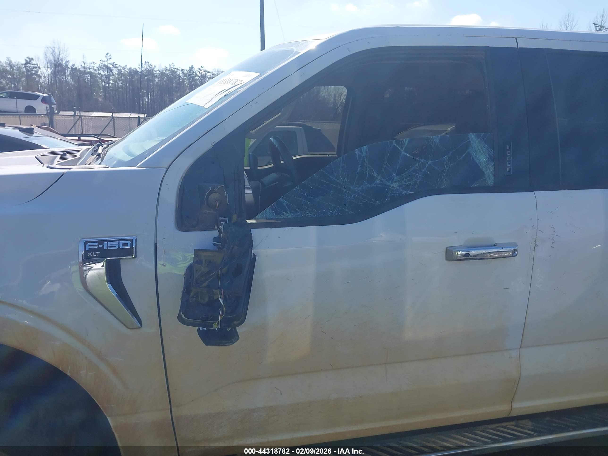 FORD F-150 image 6