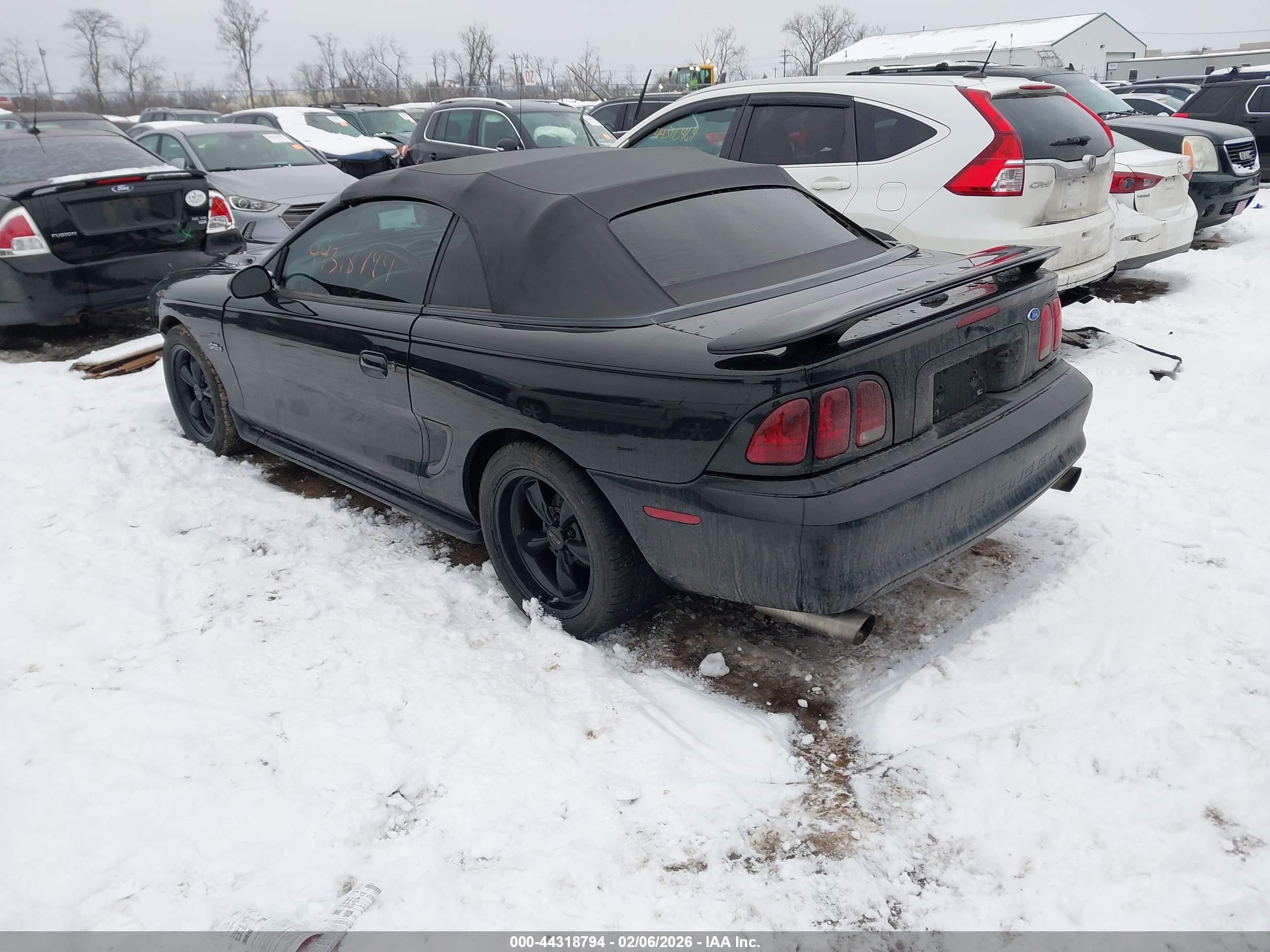 FORD MUSTANG image 3