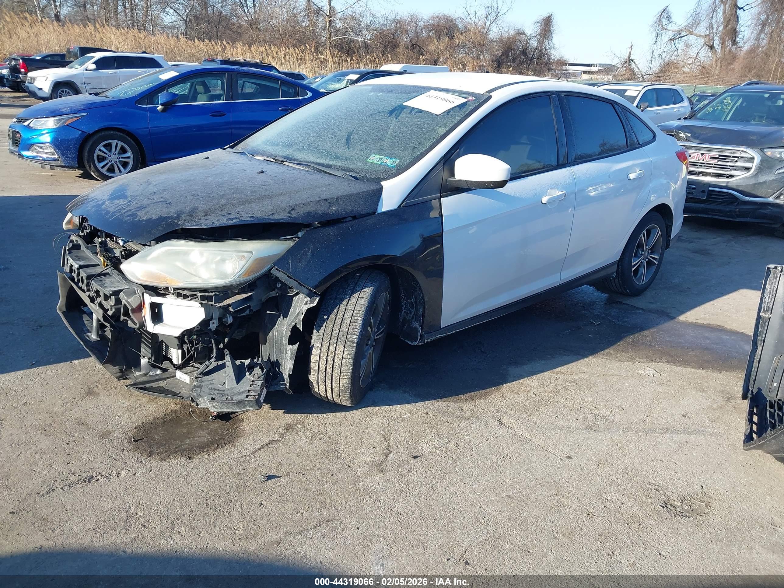 FORD FOCUS image 2