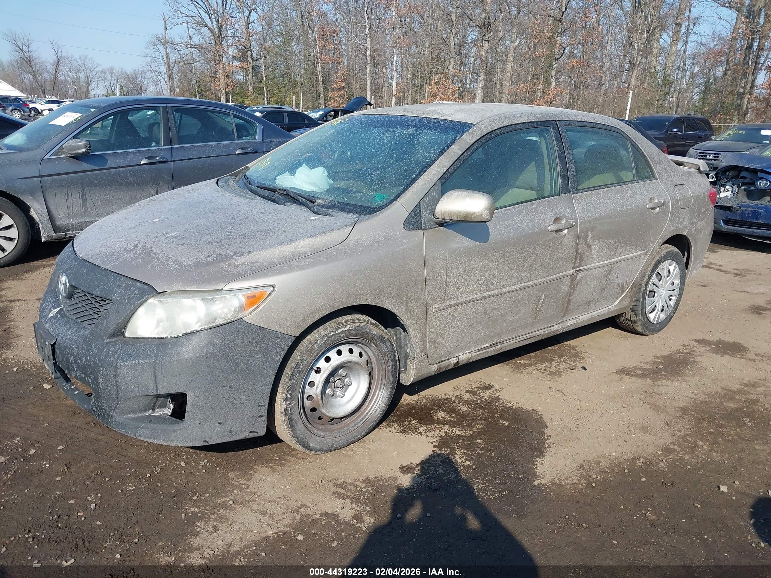 TOYOTA COROLLA image 2