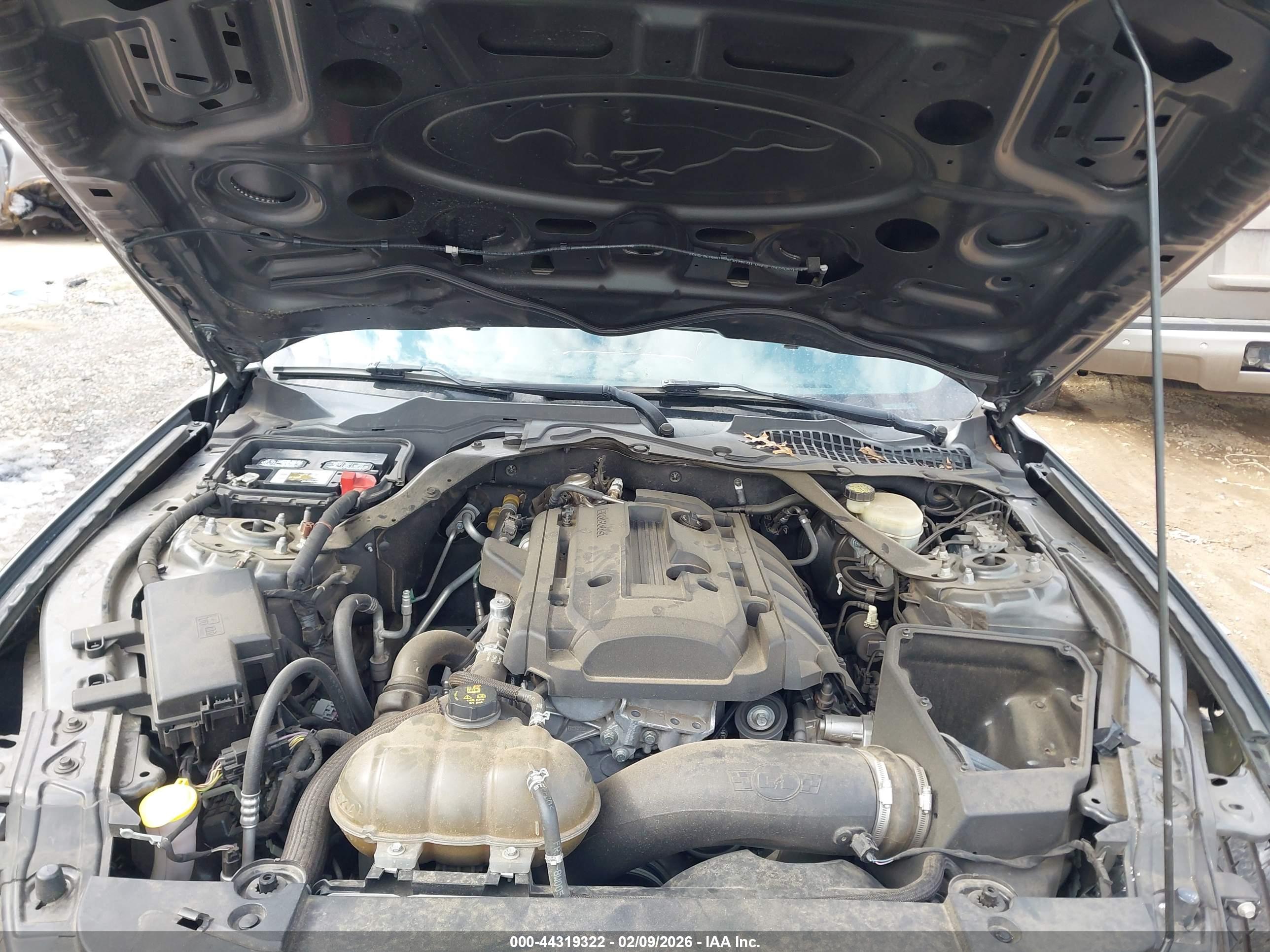 FORD MUSTANG image 10