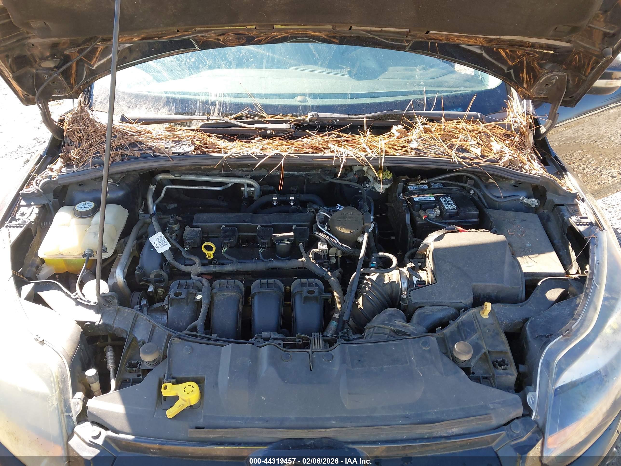 FORD FOCUS image 10