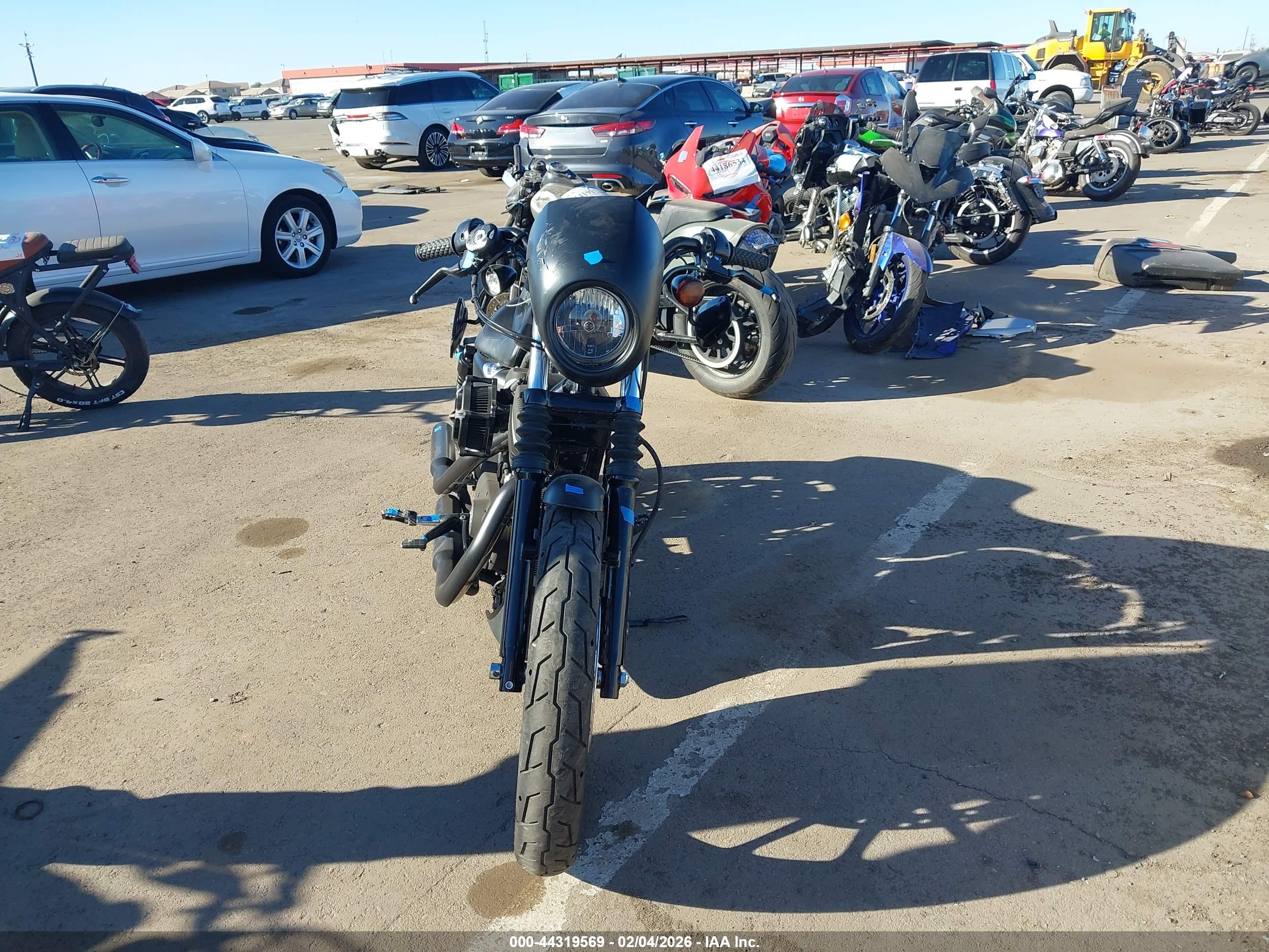 HARLEY-DAVIDSON XL883 image 5