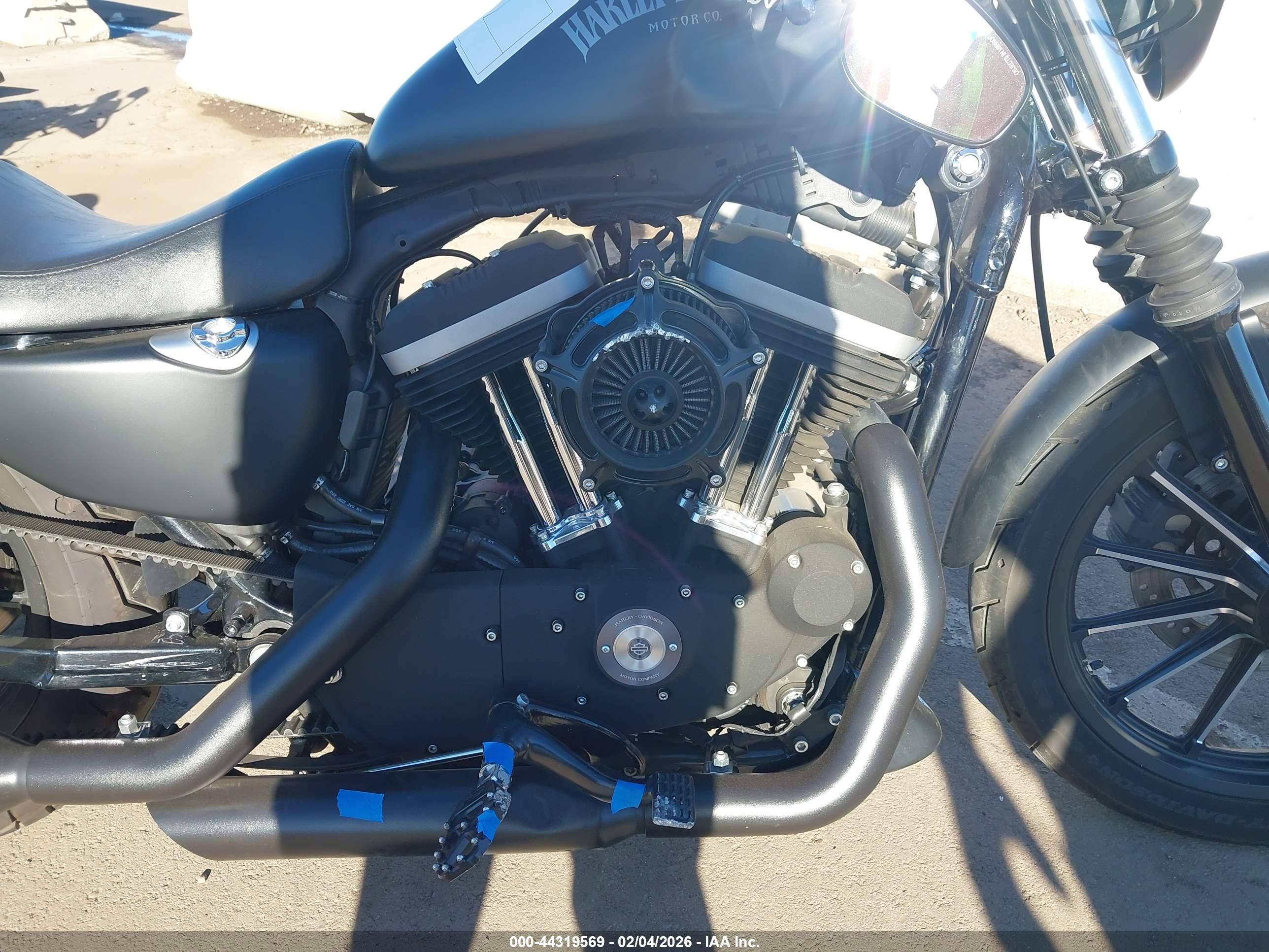 HARLEY-DAVIDSON XL883 image 8