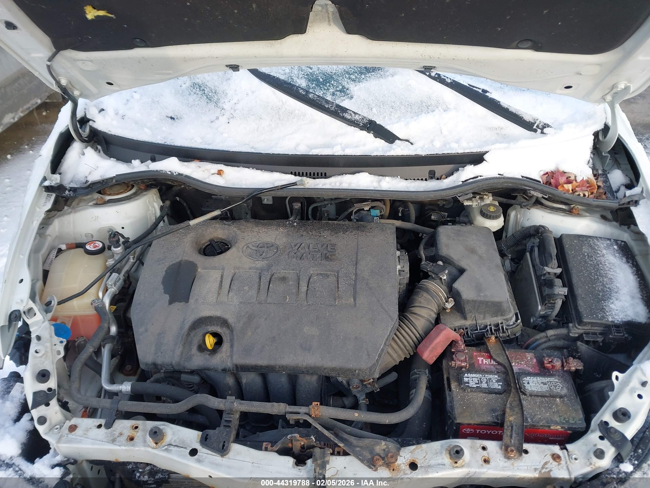 TOYOTA COROLLA image 10