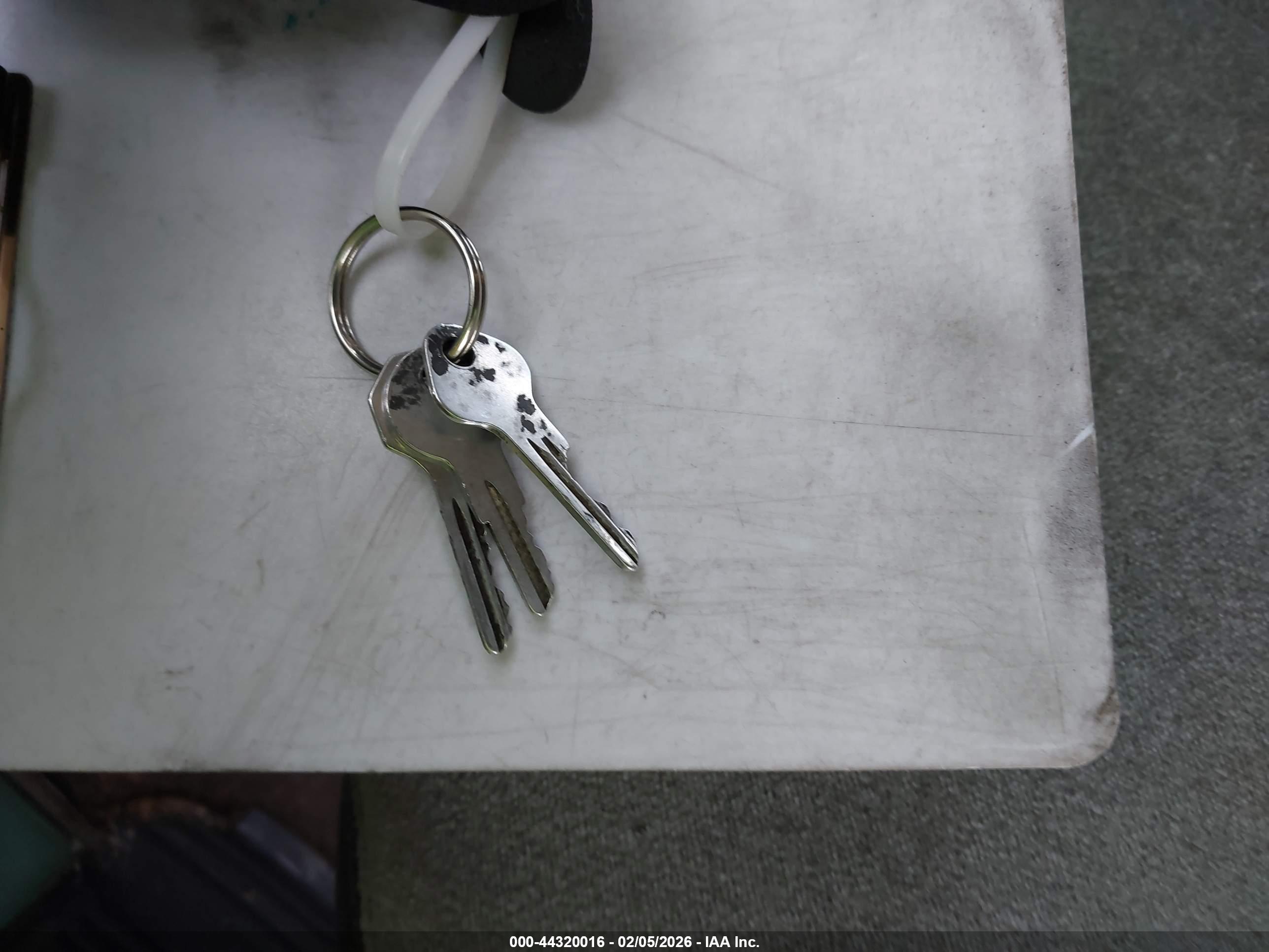 DSOT DESOTO image 11