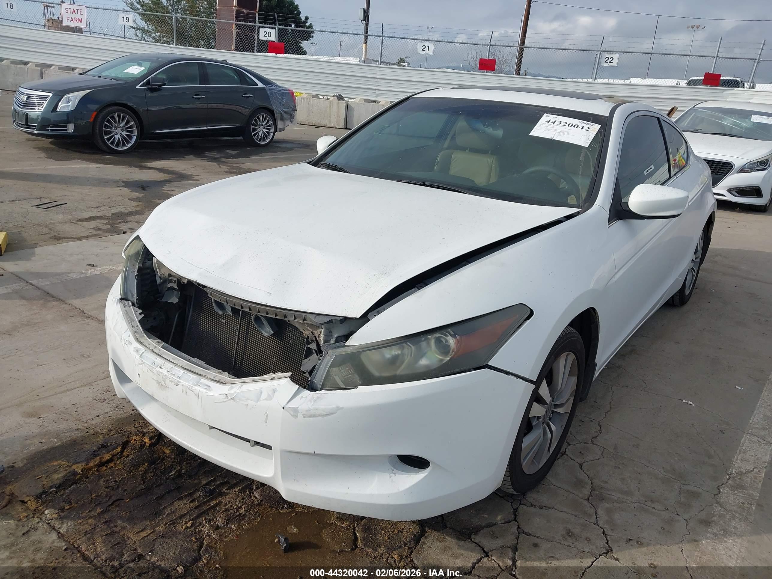 HONDA ACCORD image 6