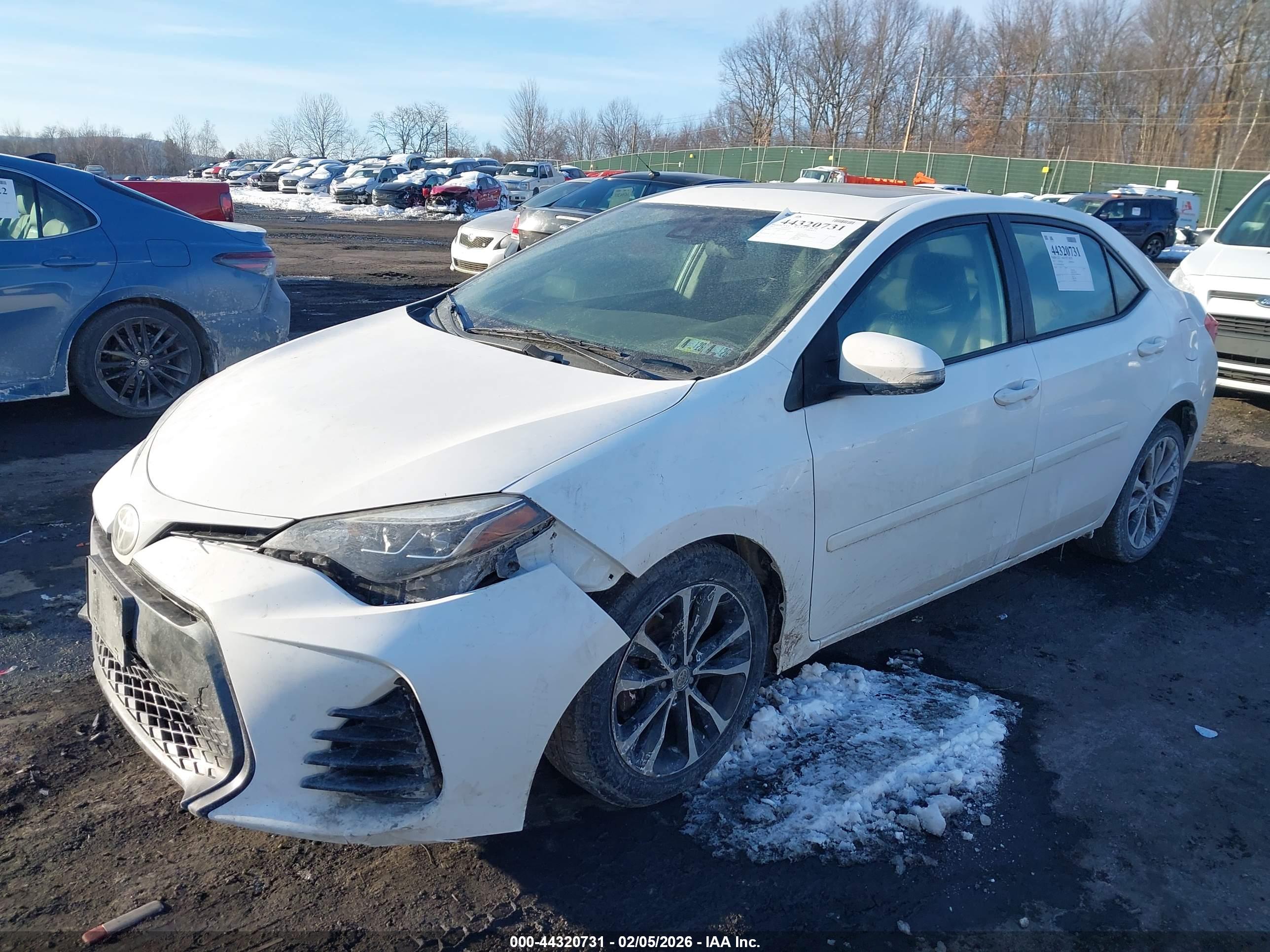 TOYOTA COROLLA image 2