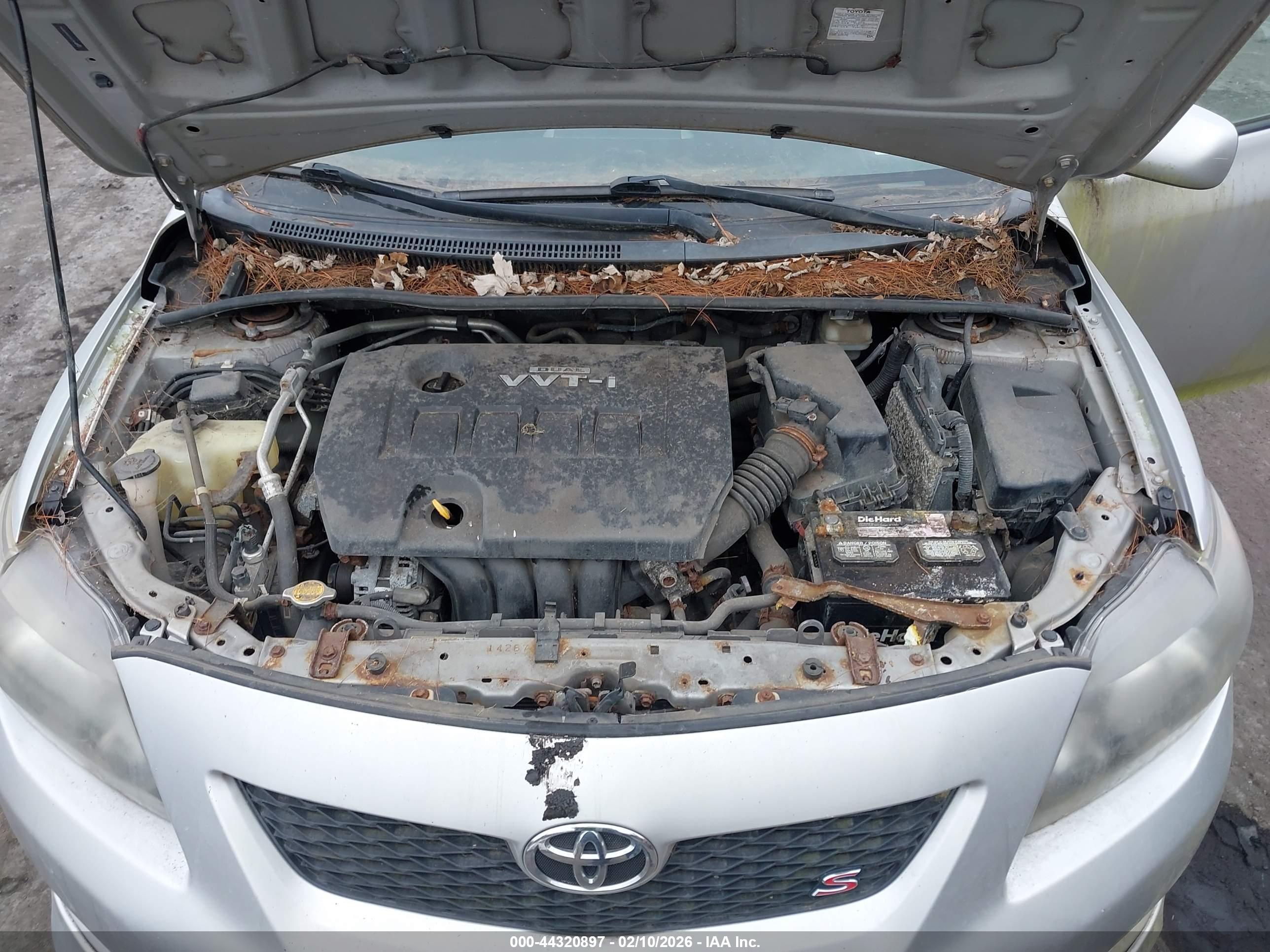 TOYOTA COROLLA image 10