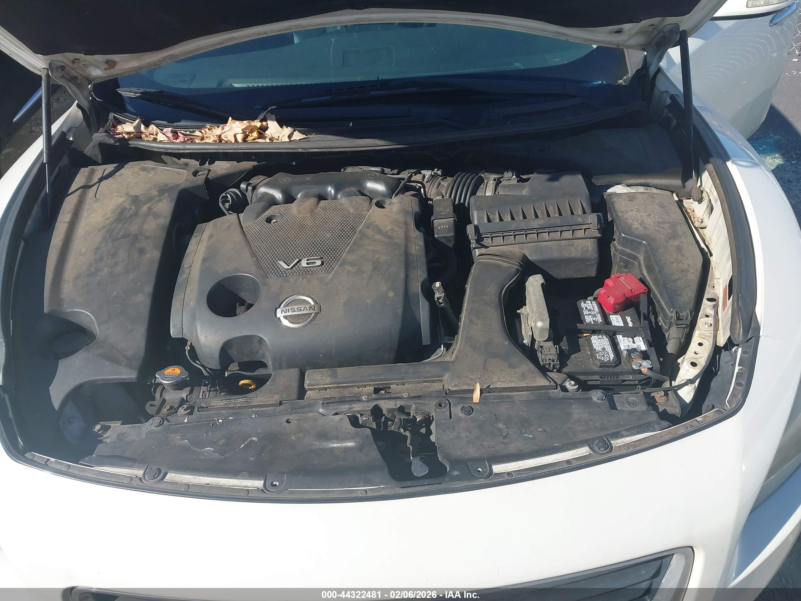 NISSAN MAXIMA image 10