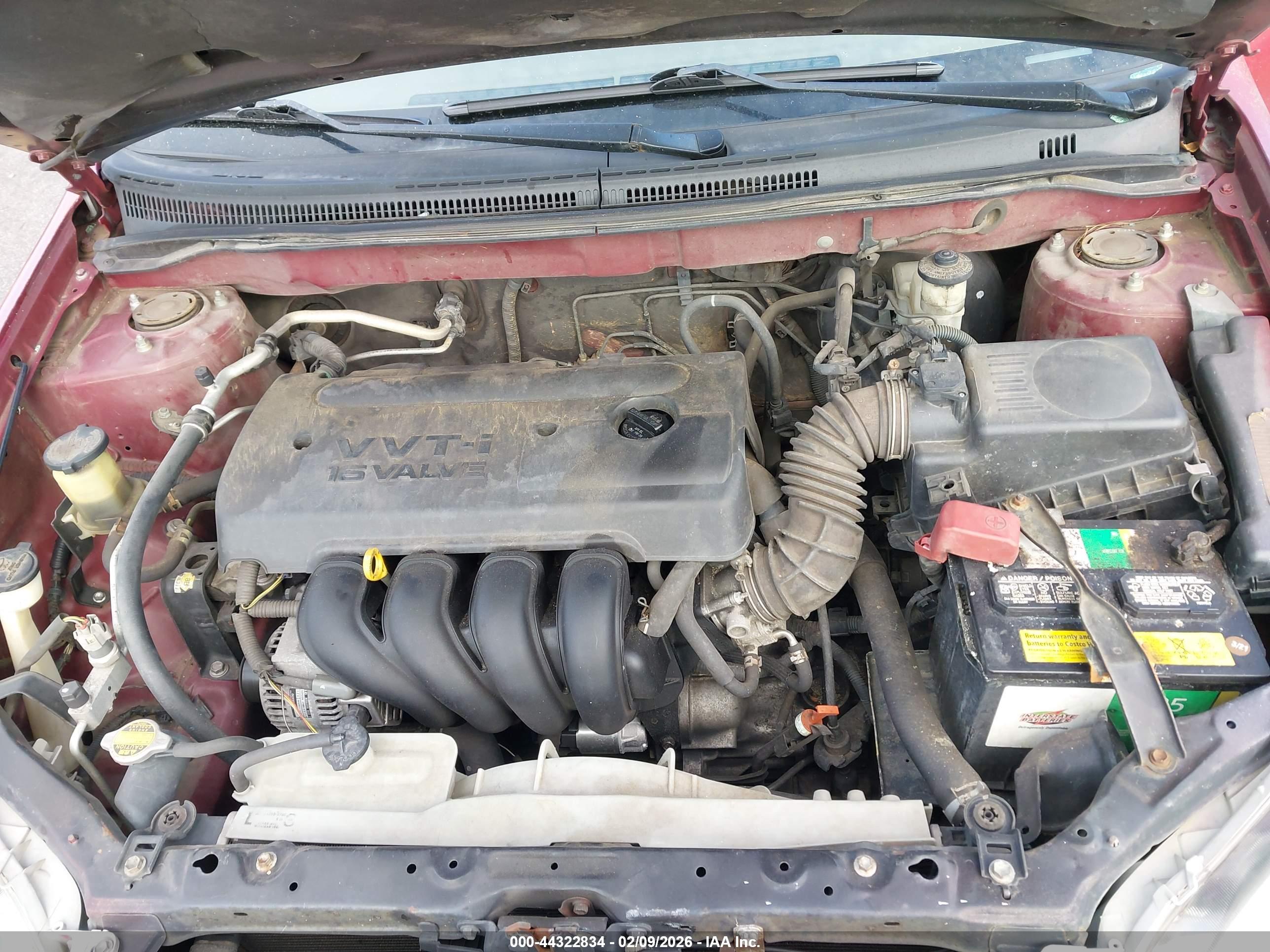 TOYOTA COROLLA image 10