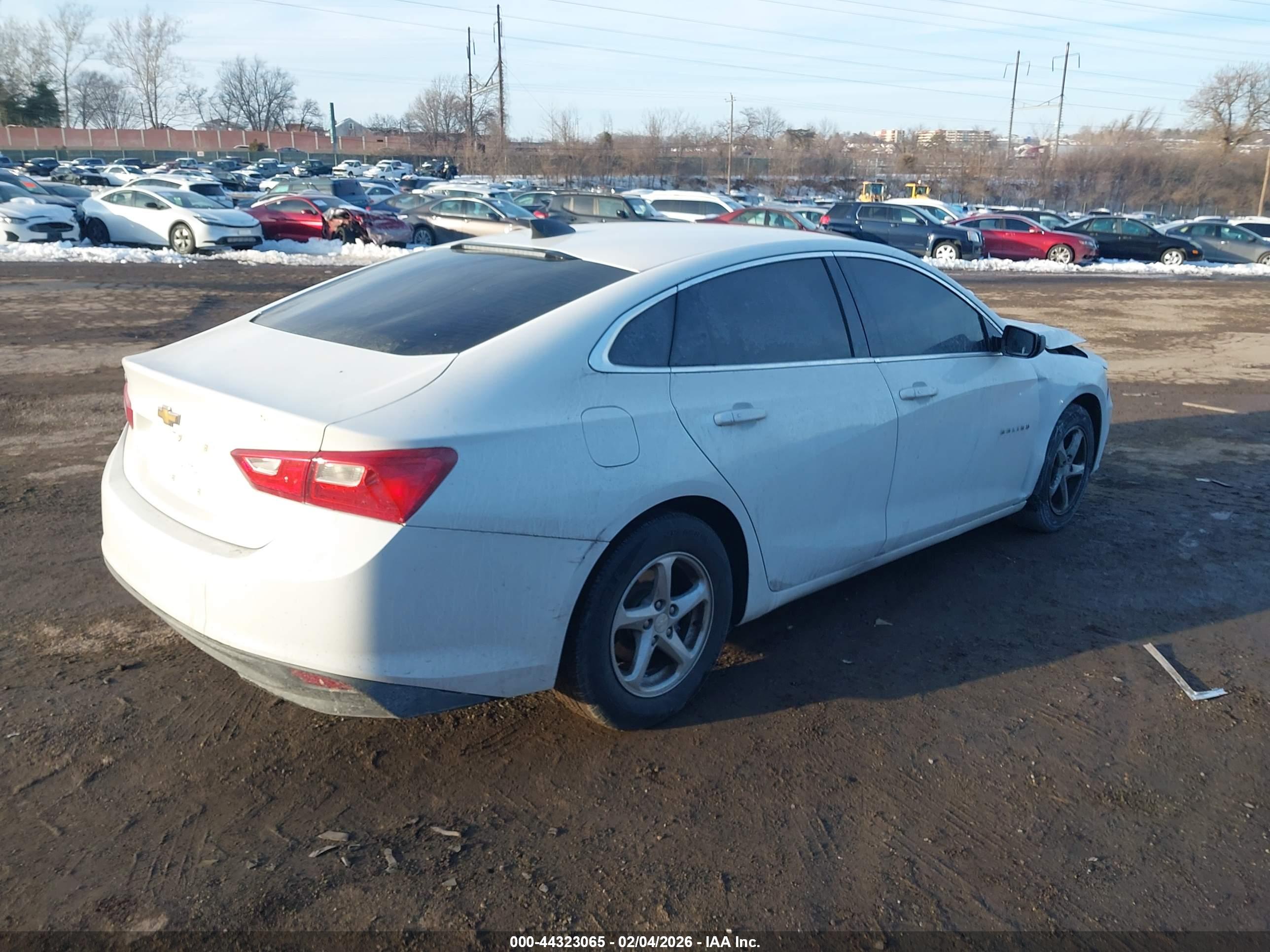 CHEVROLET MALIBU image 4