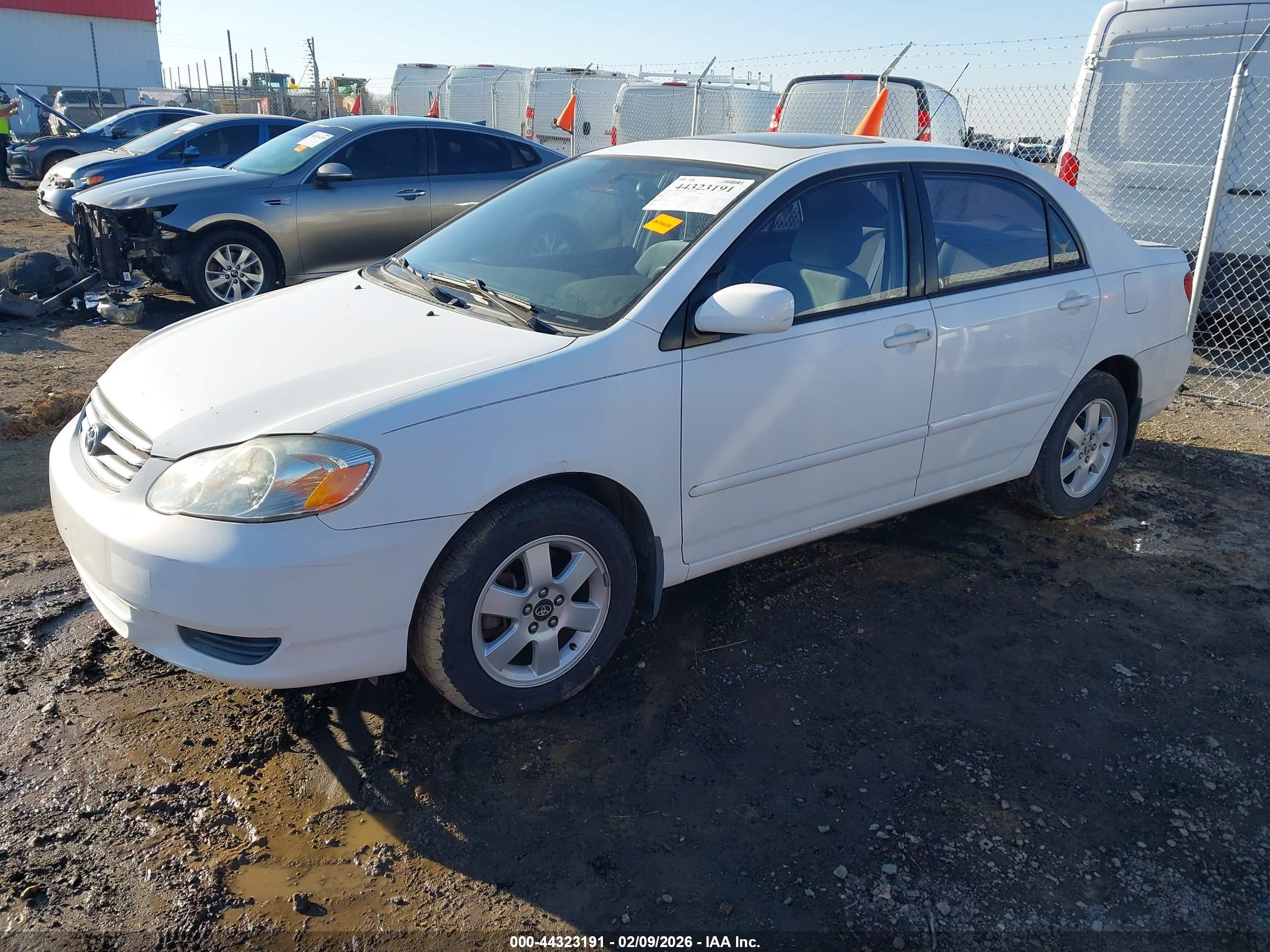 TOYOTA COROLLA image 2