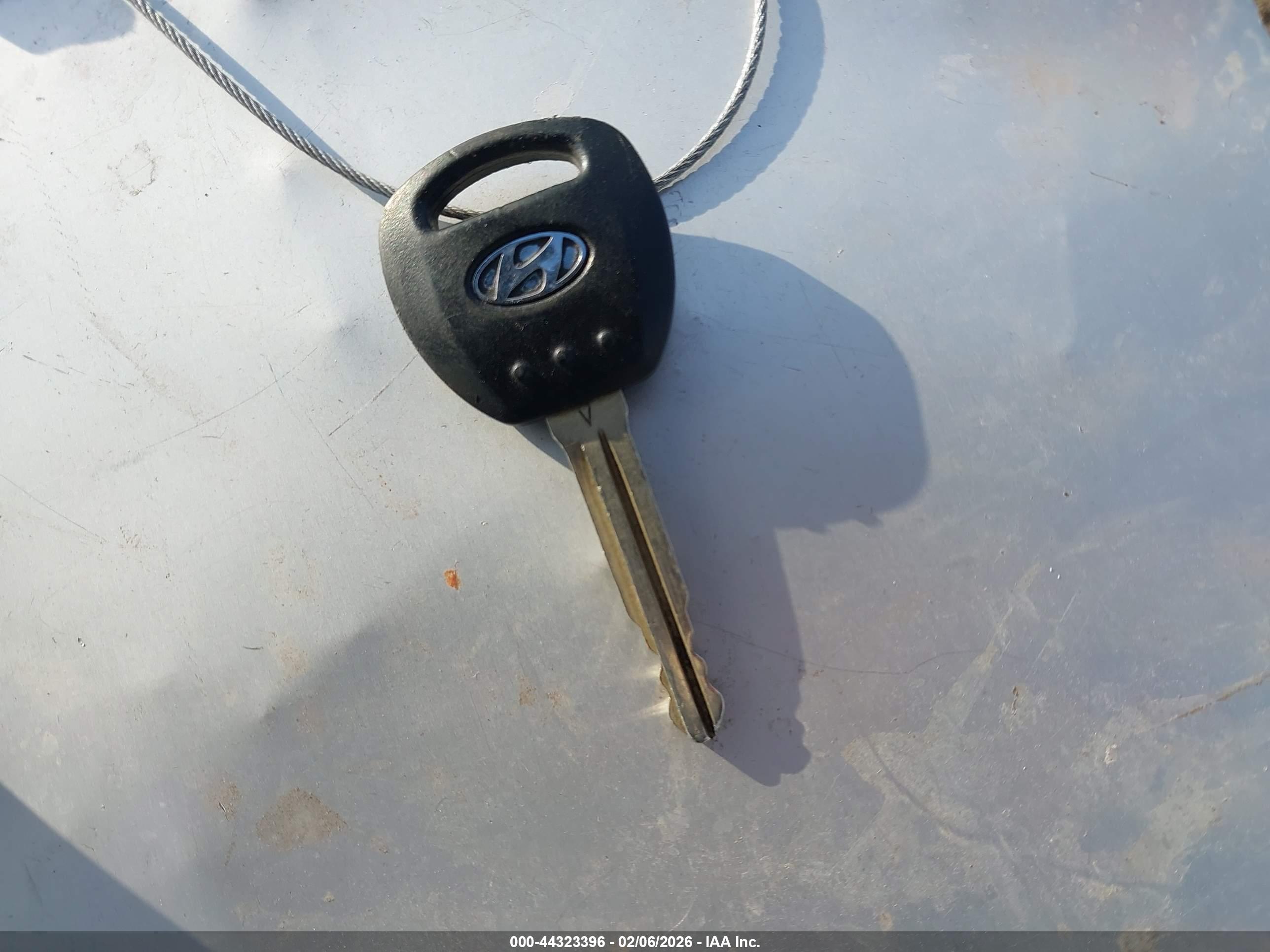 HYUNDAI ENTOURAGE image 11