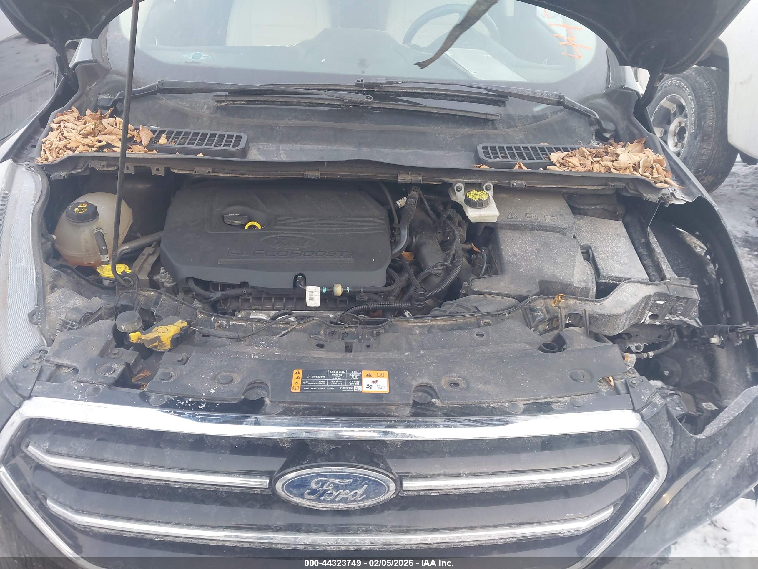 FORD ESCAPE image 10