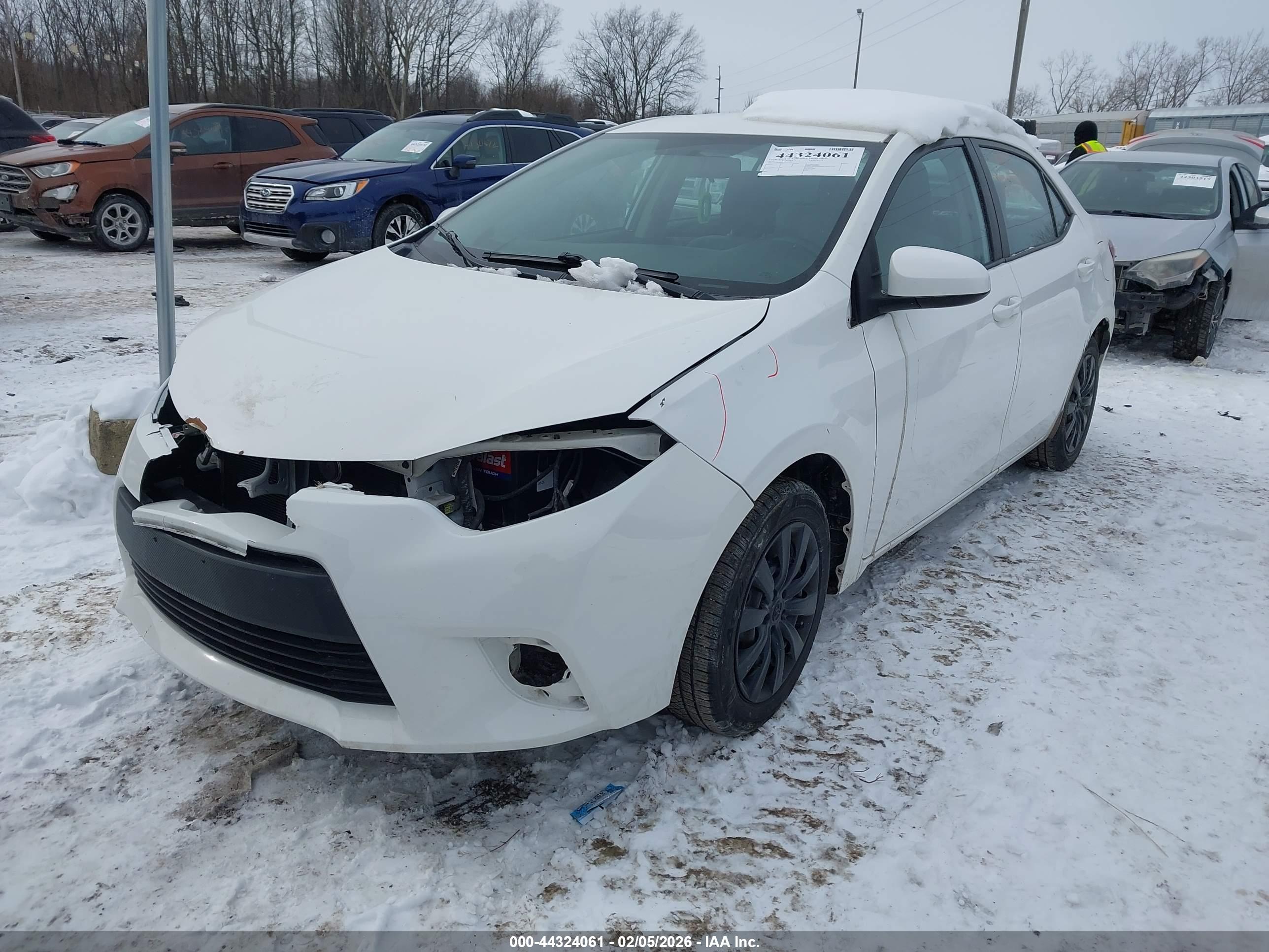 TOYOTA COROLLA image 2