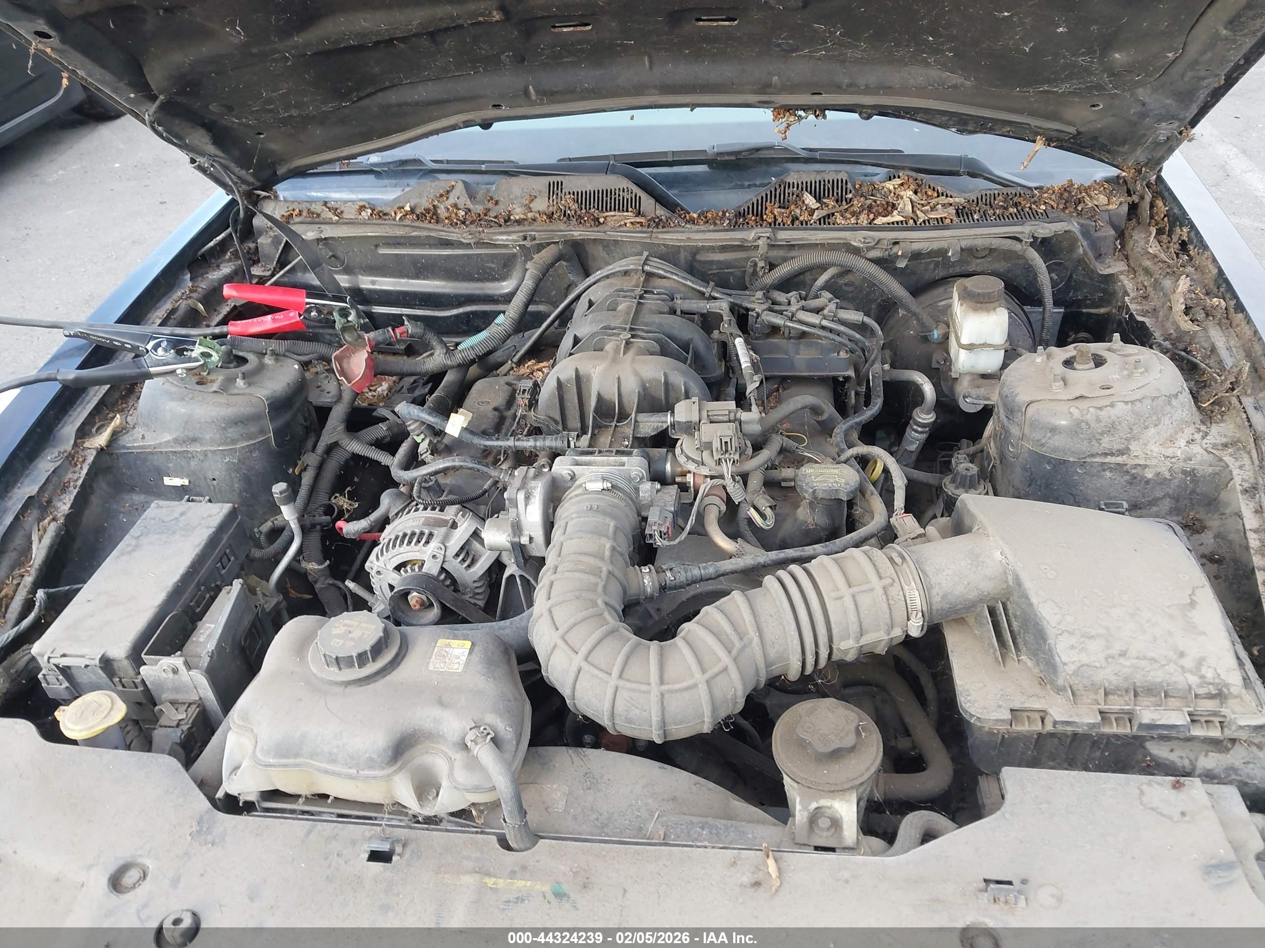 FORD MUSTANG image 10
