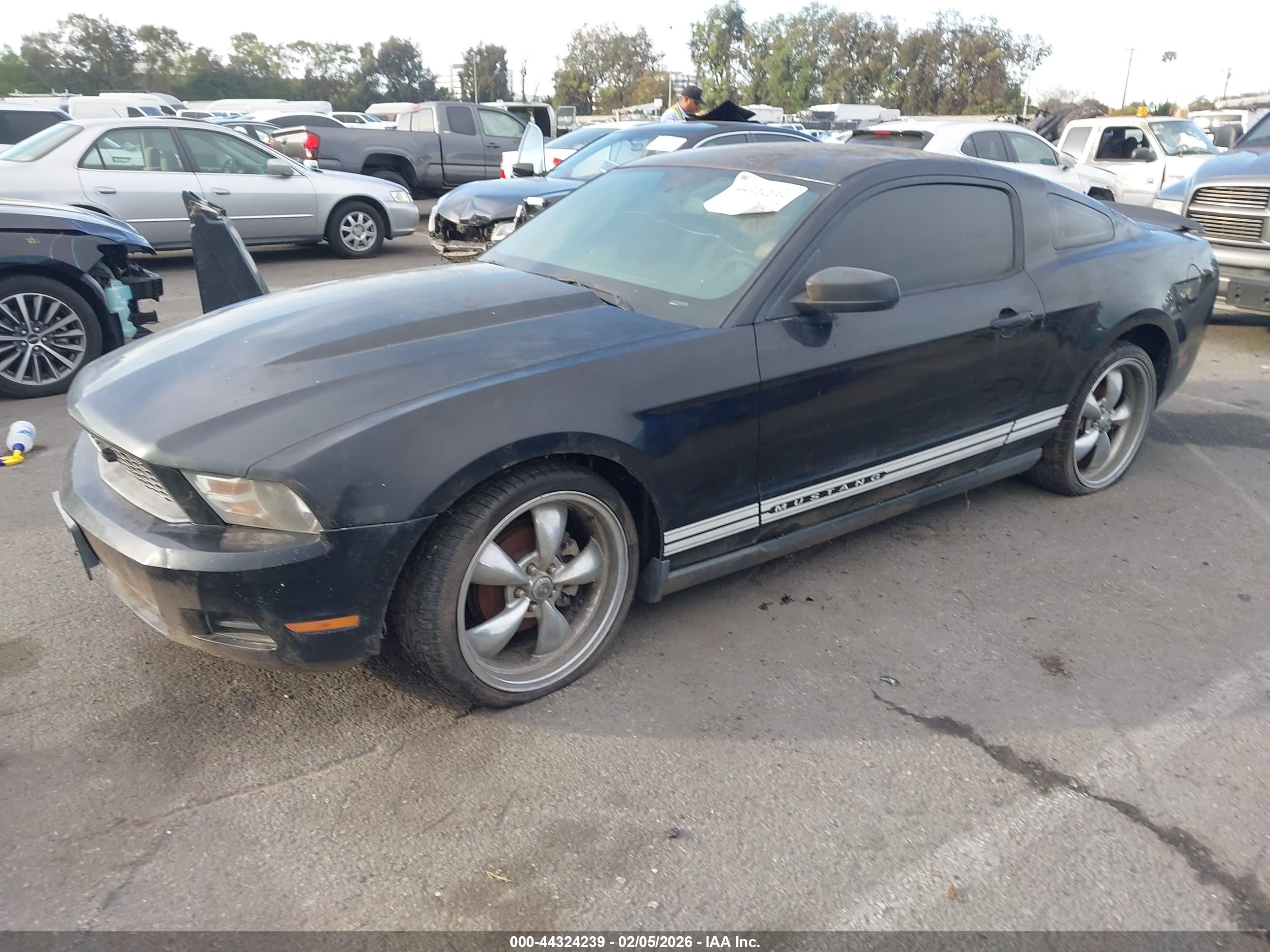 FORD MUSTANG image 2