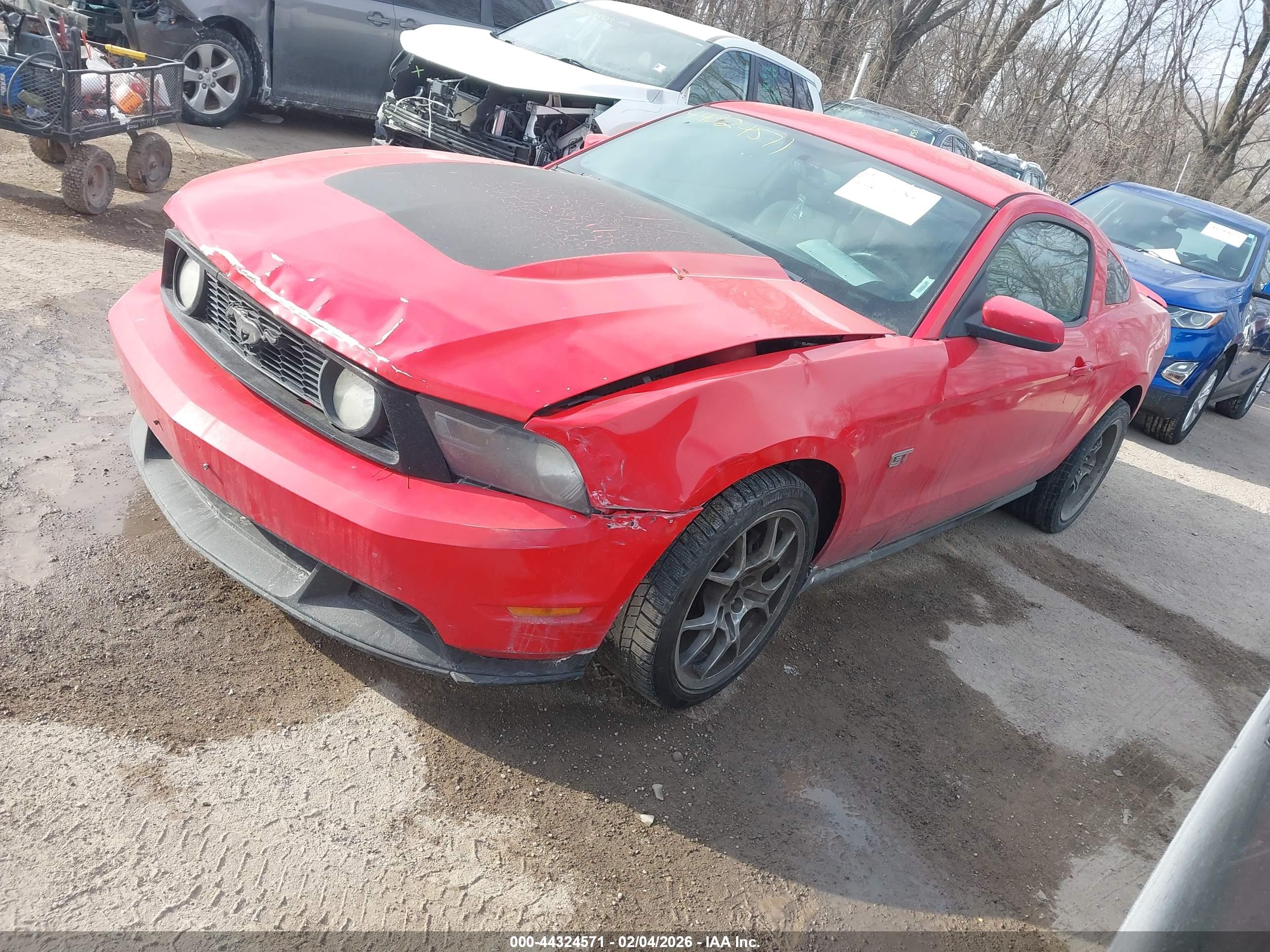 FORD MUSTANG image 2