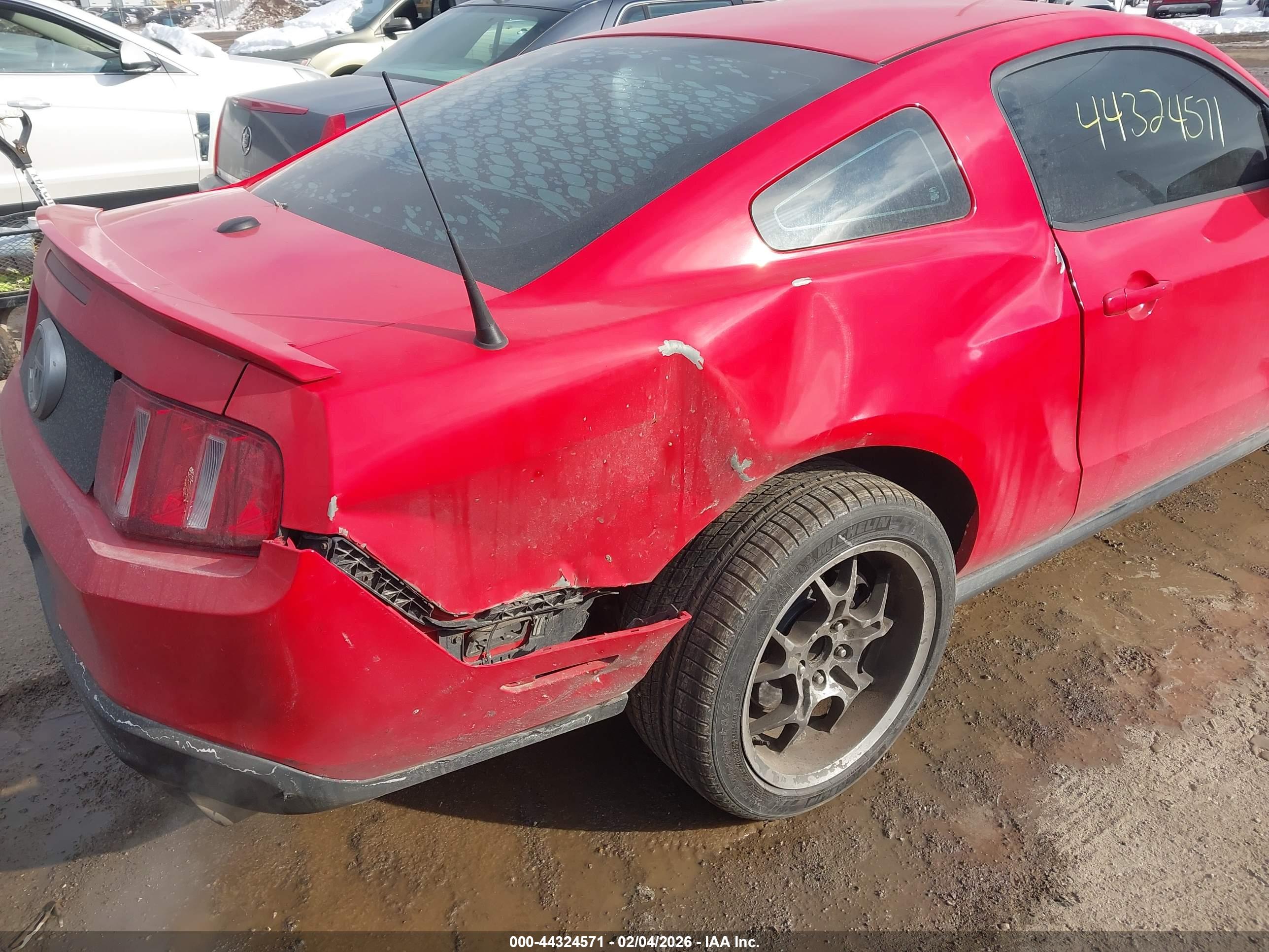 FORD MUSTANG image 6