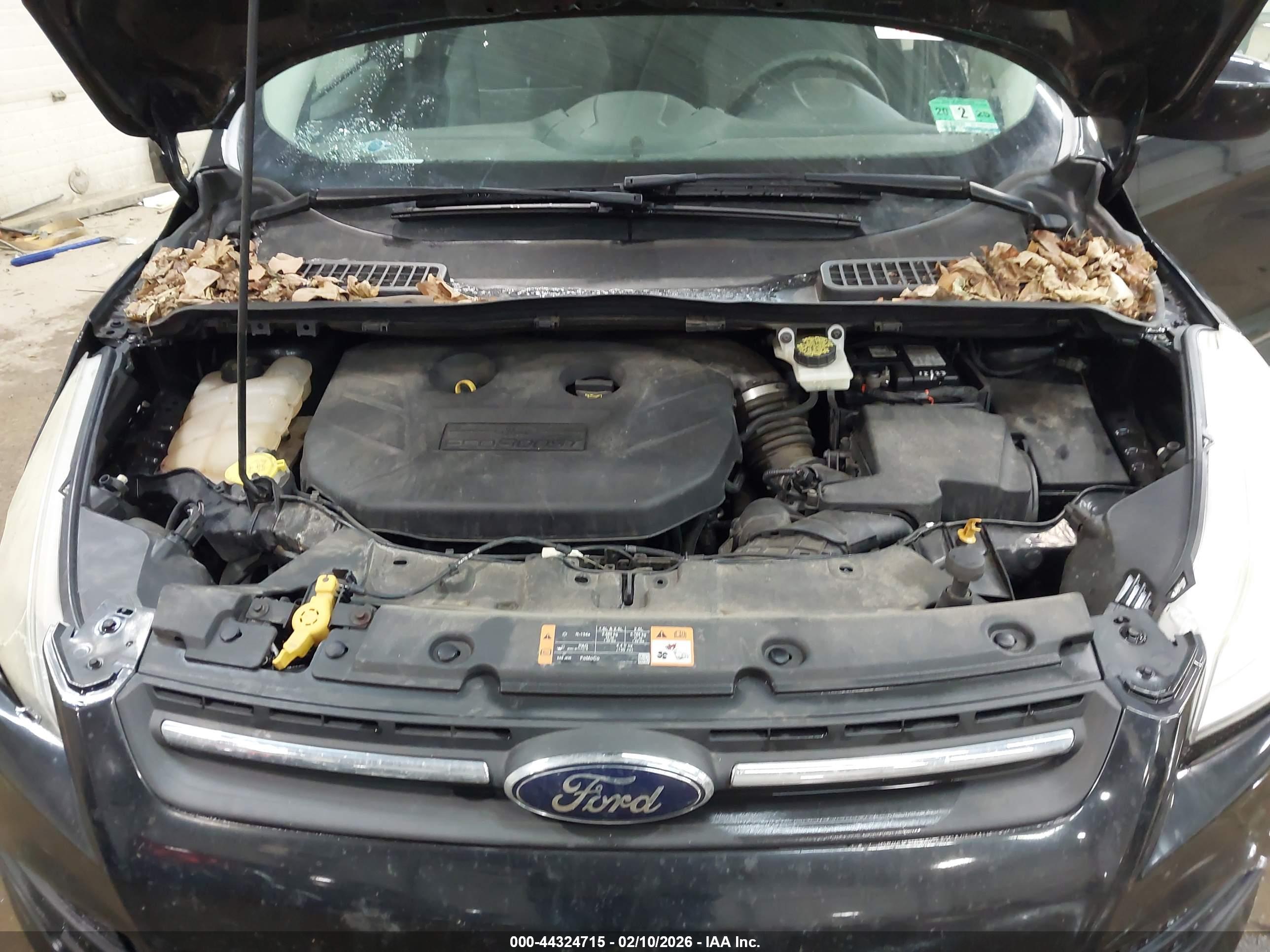 FORD ESCAPE image 10