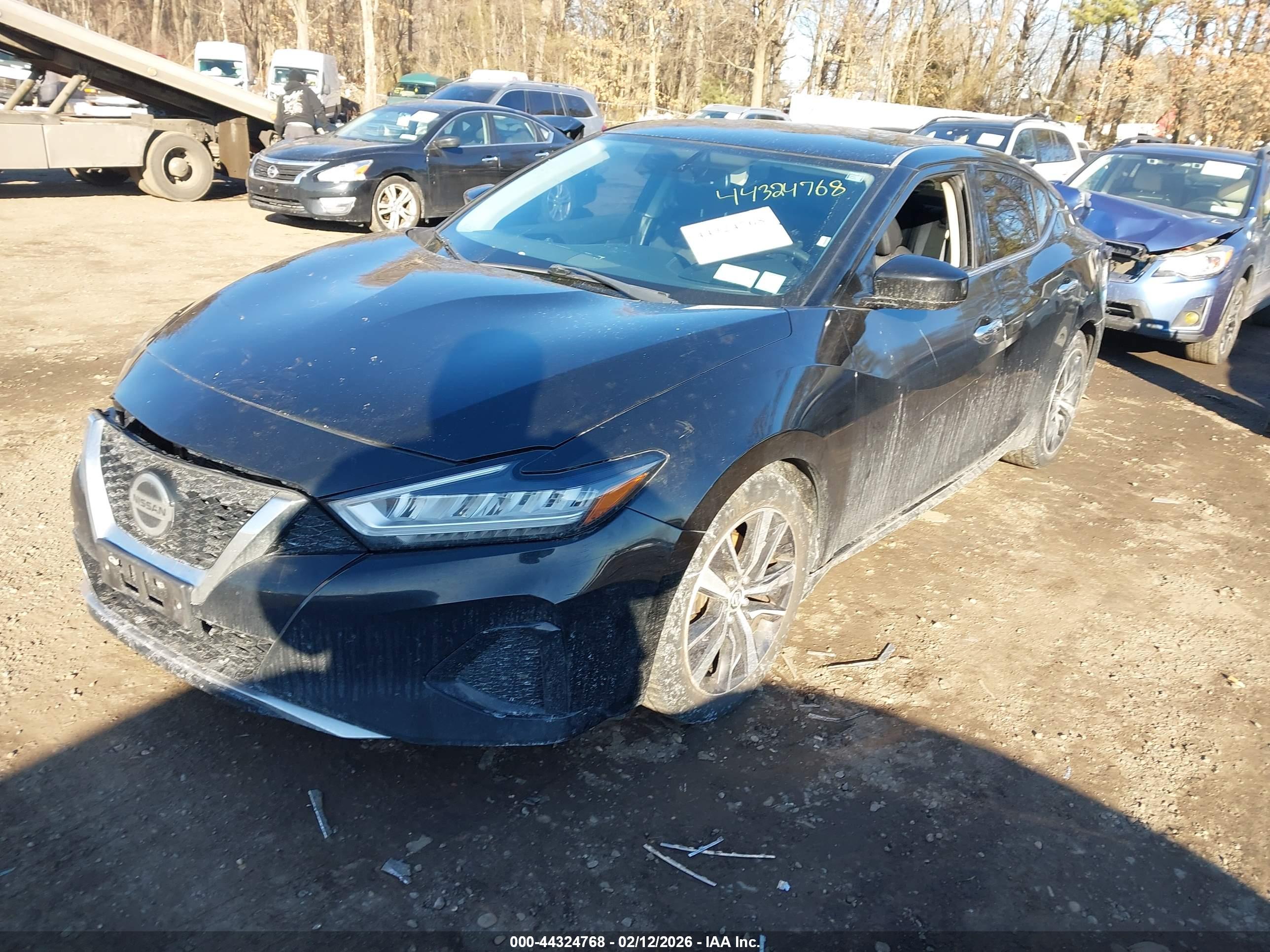NISSAN MAXIMA image 2