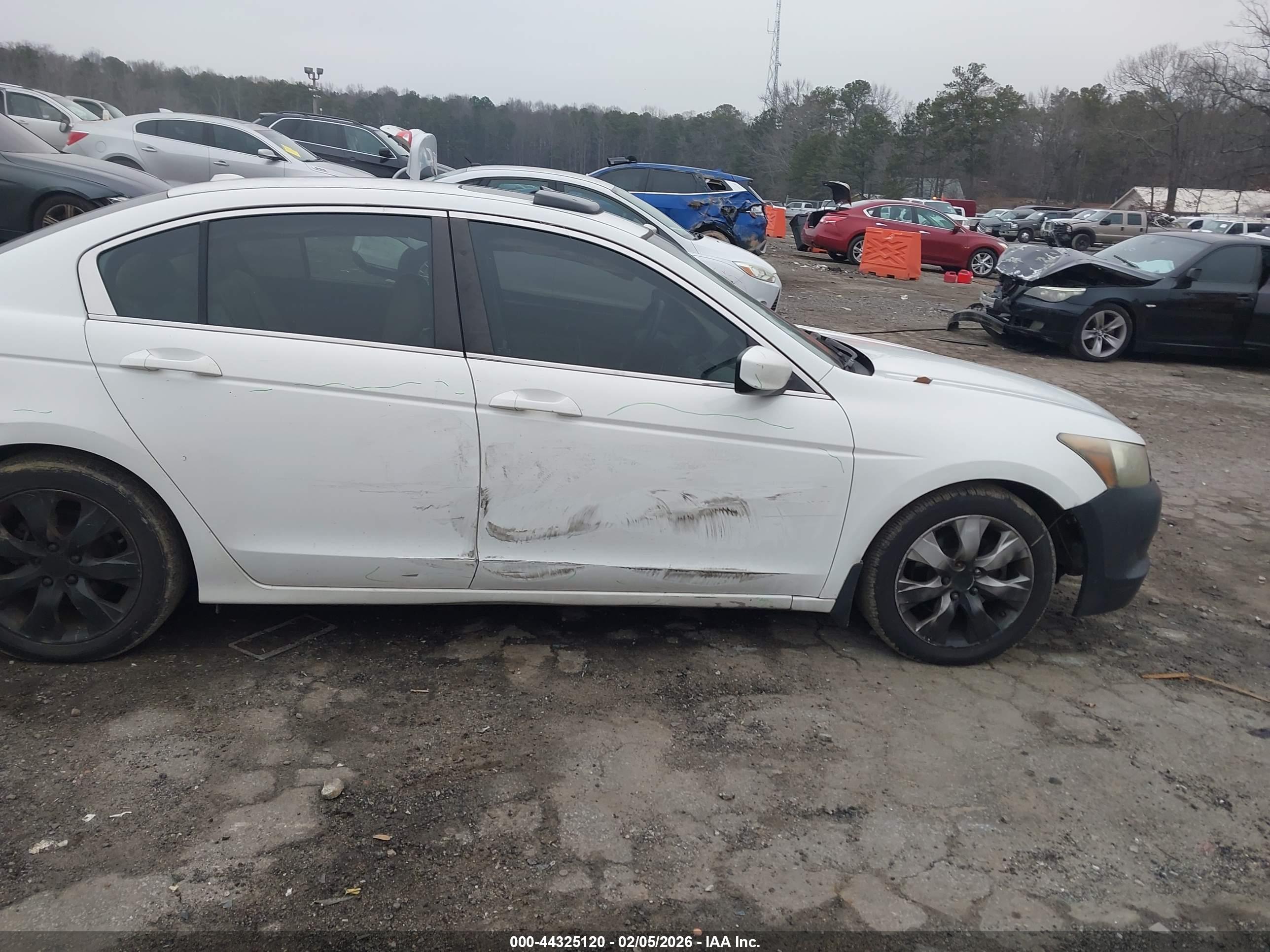 HONDA ACCORD image 6