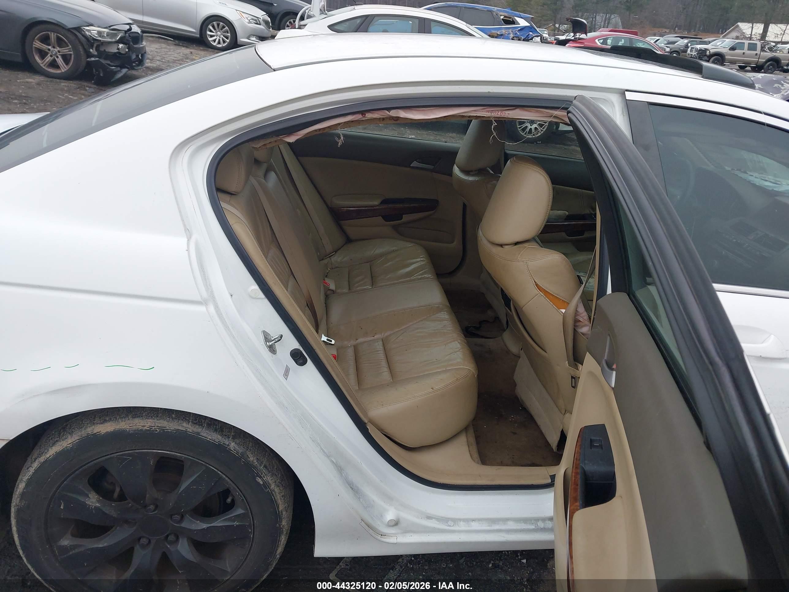 HONDA ACCORD image 8