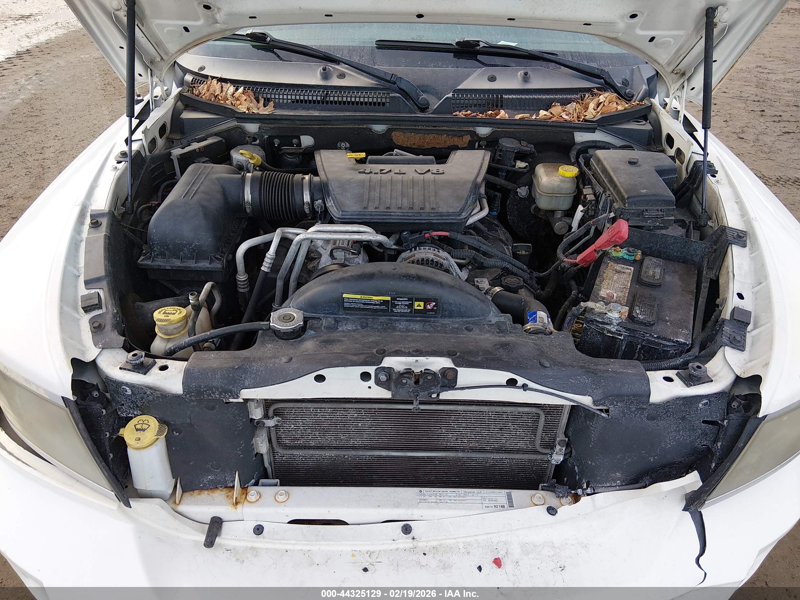 DODGE DAKOTA image 10