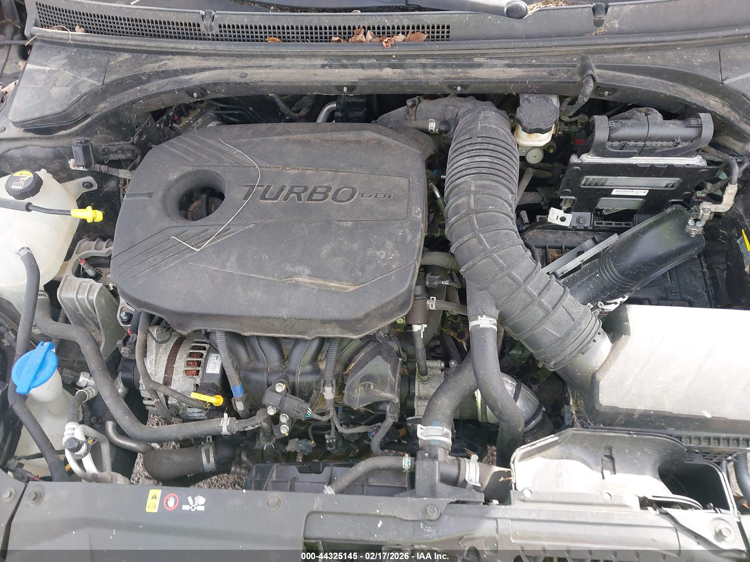 HYUNDAI VELOSTER image 10