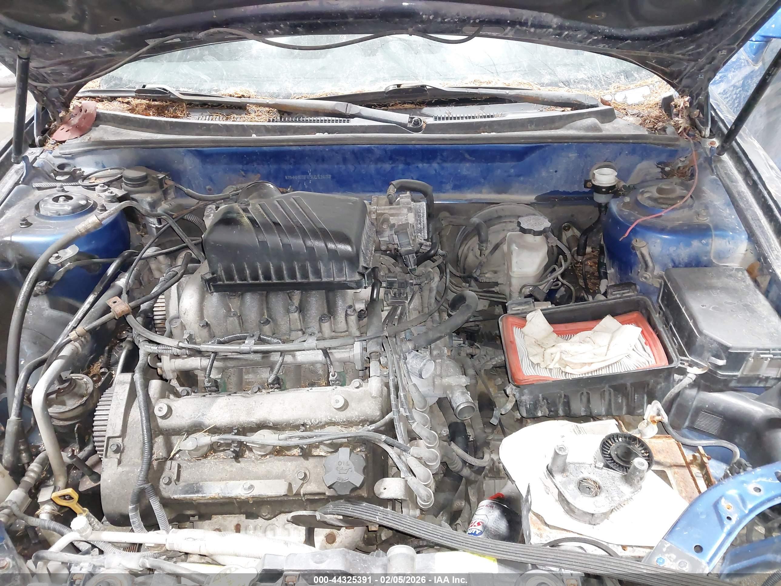 HYUNDAI TIBURON image 10