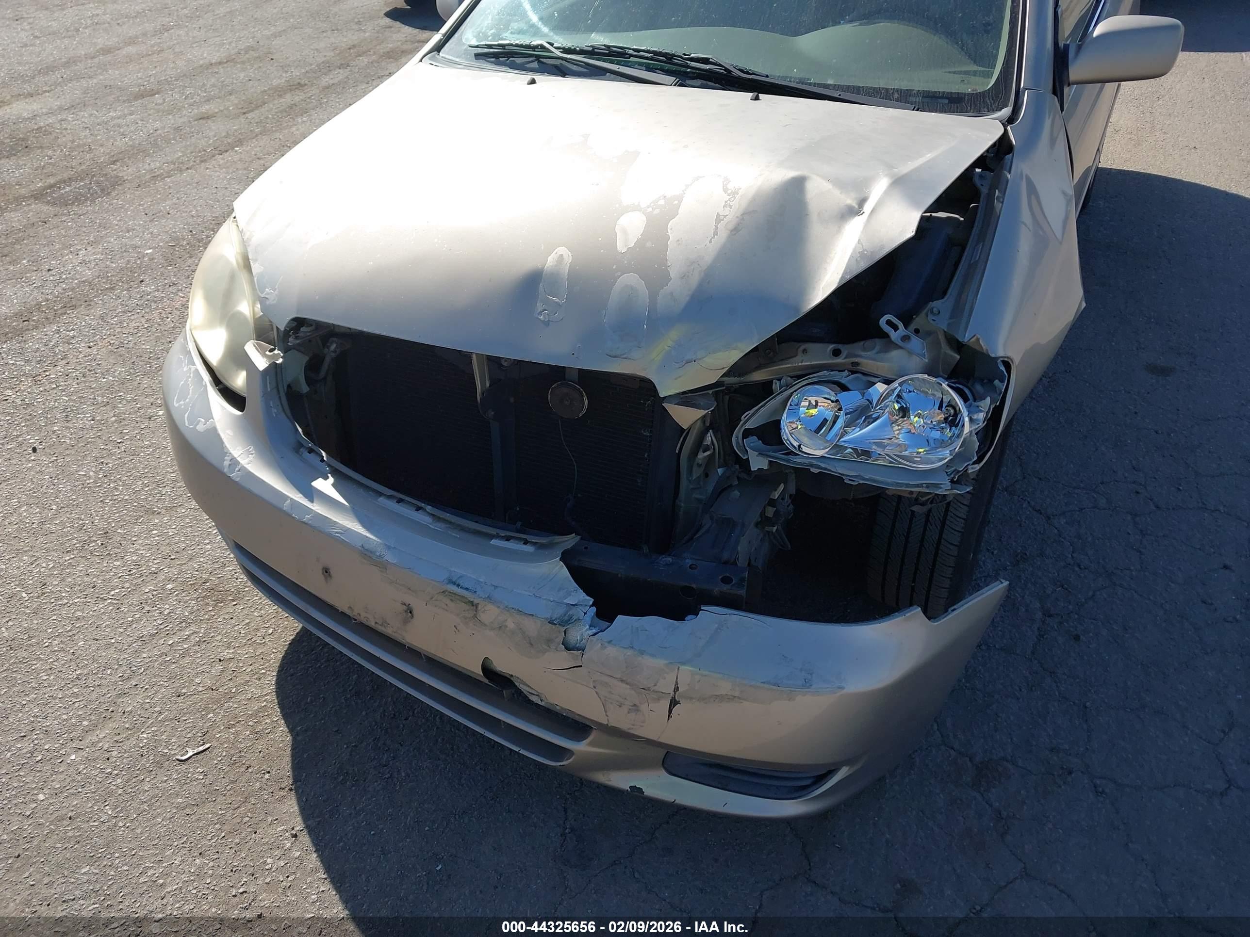 TOYOTA COROLLA image 6