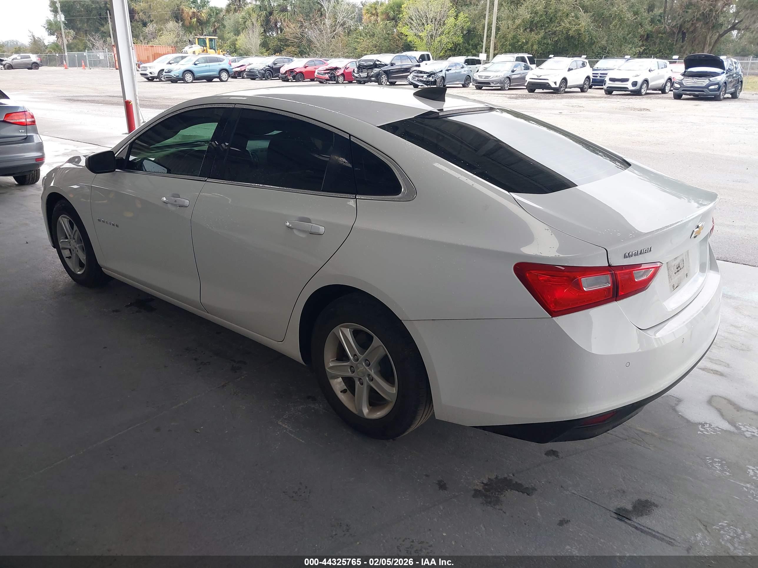 CHEVROLET MALIBU image 3