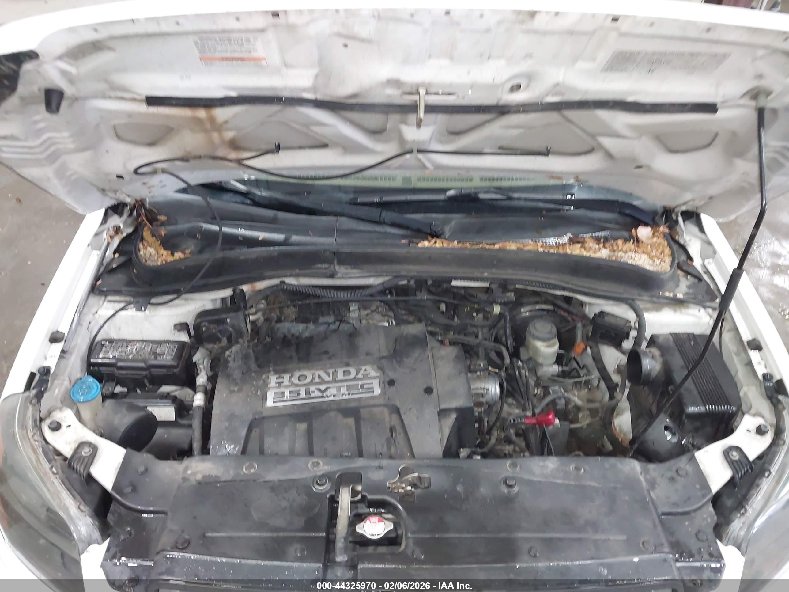 HONDA PILOT image 10