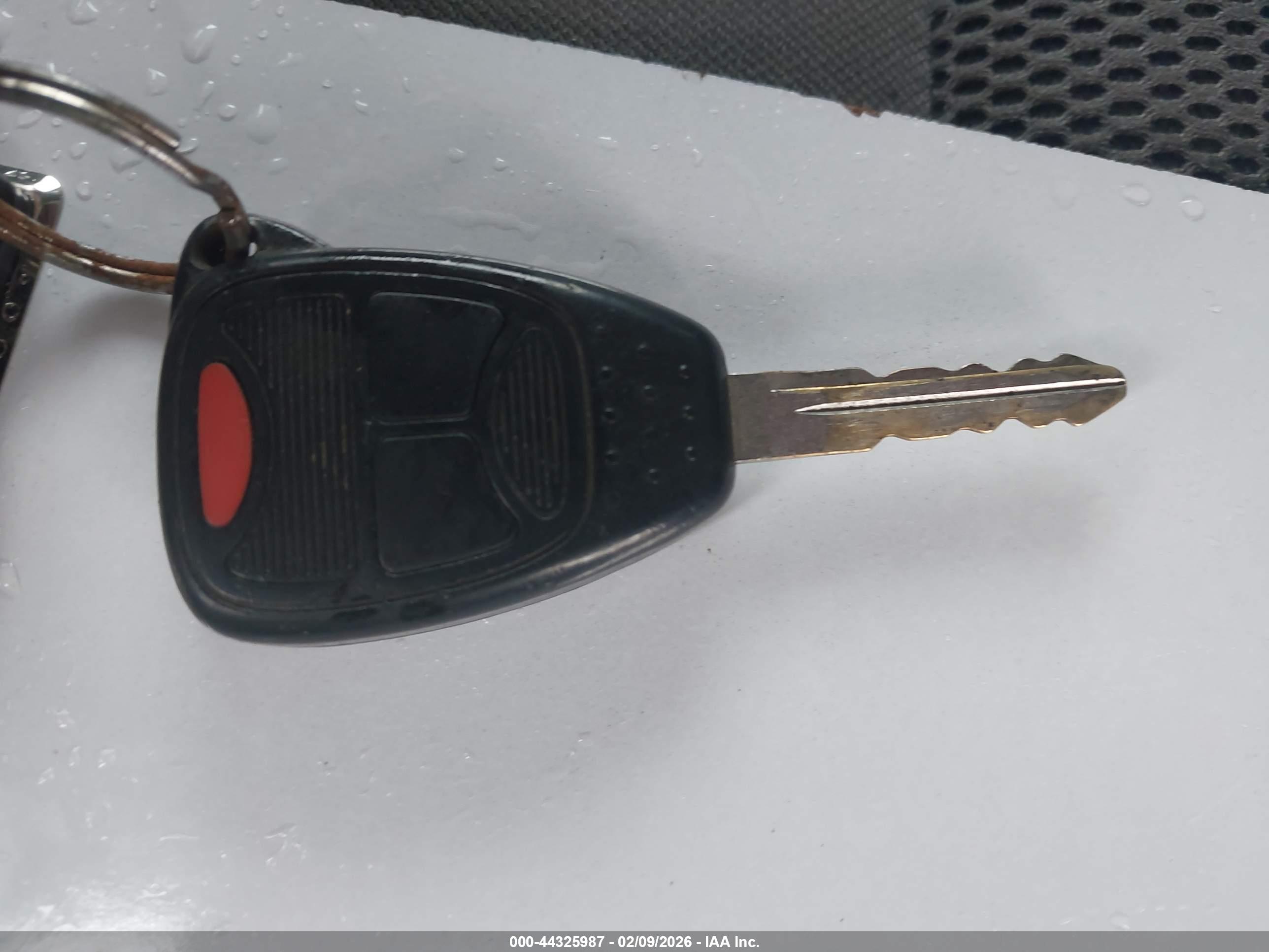JEEP WRANGLER image 11