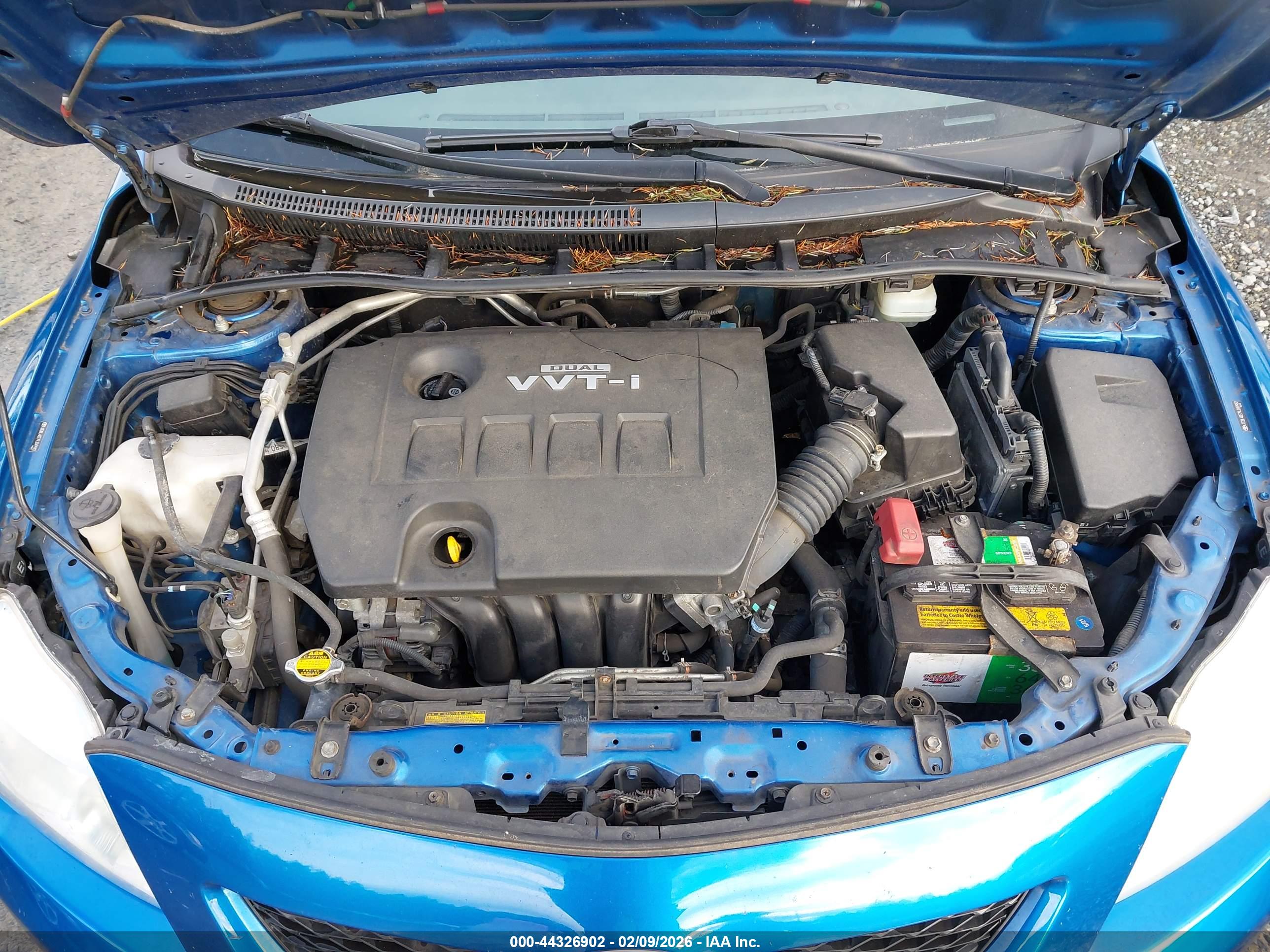 TOYOTA COROLLA image 10