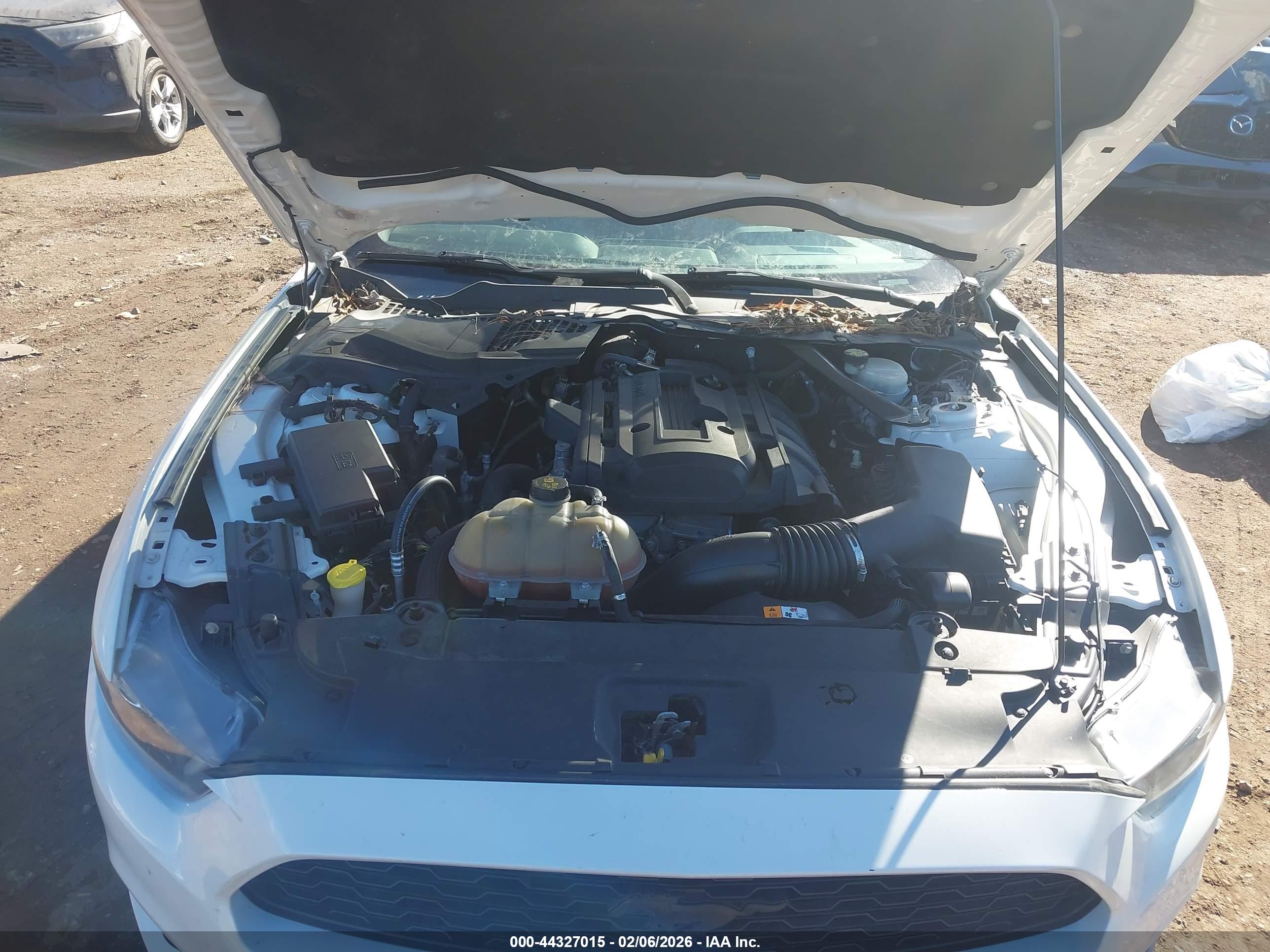 FORD MUSTANG image 10