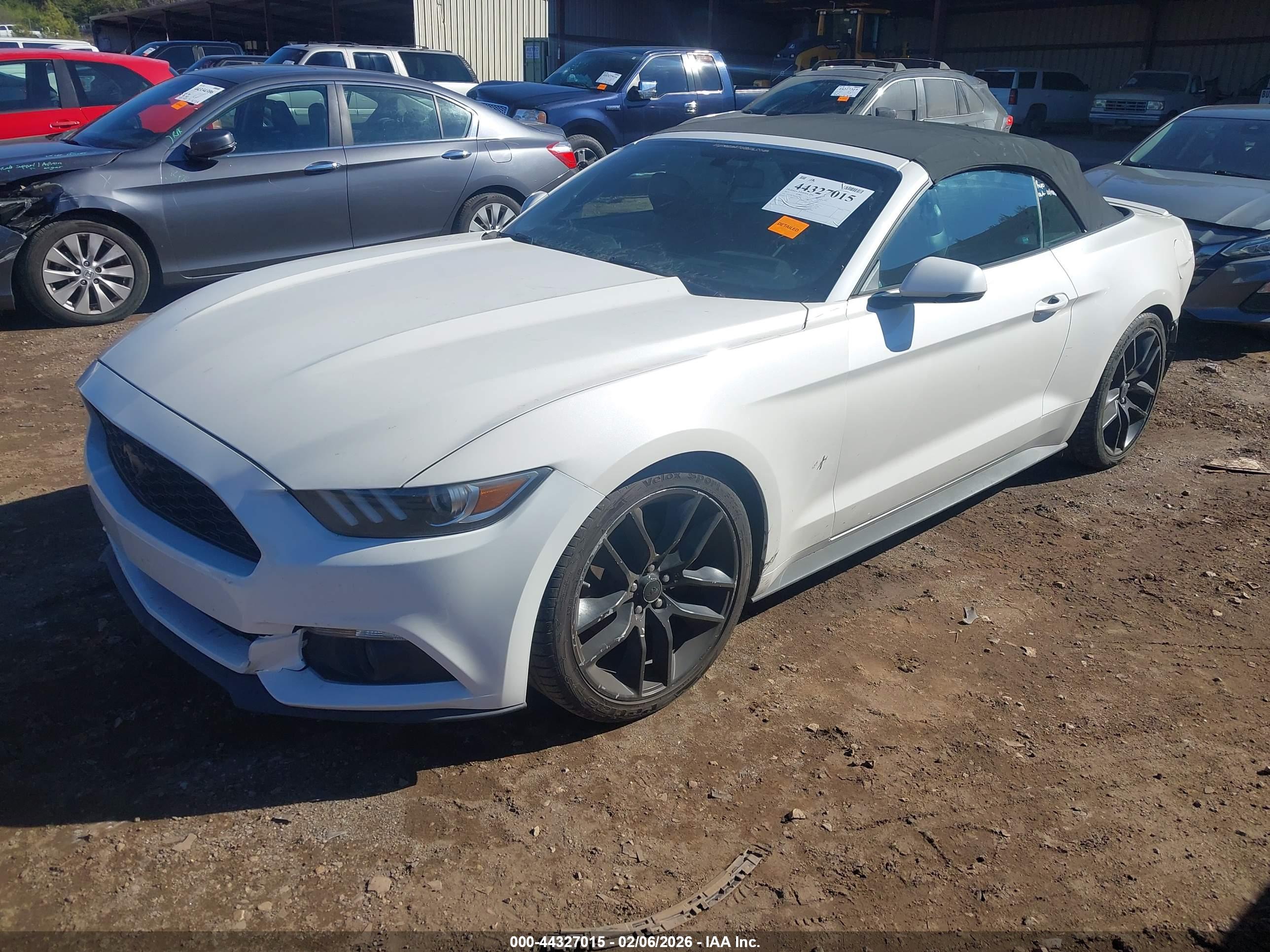 FORD MUSTANG image 2