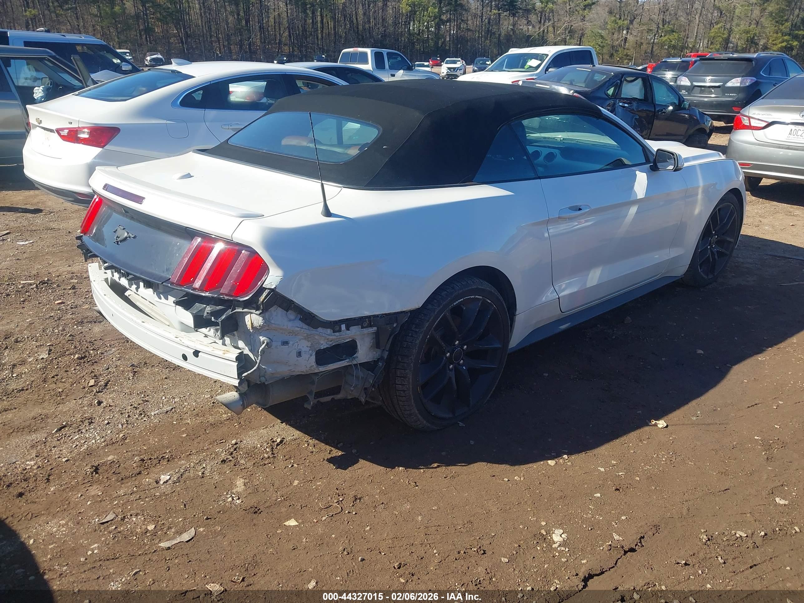 FORD MUSTANG image 4