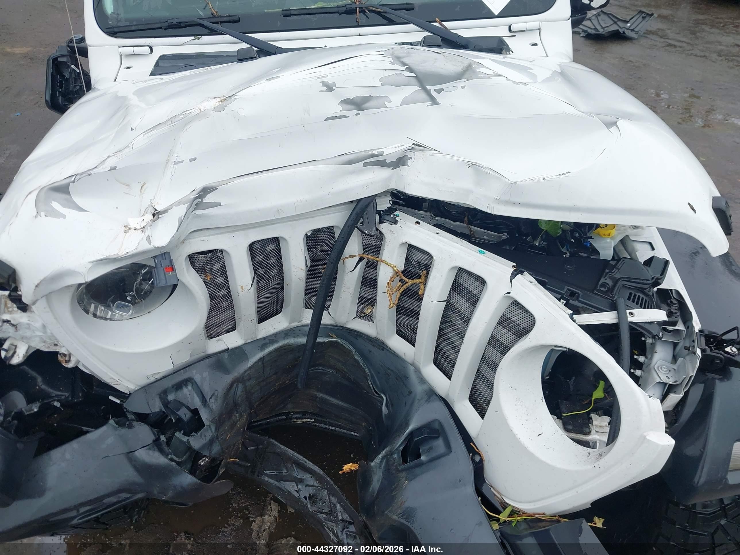 JEEP WRANGLER image 10