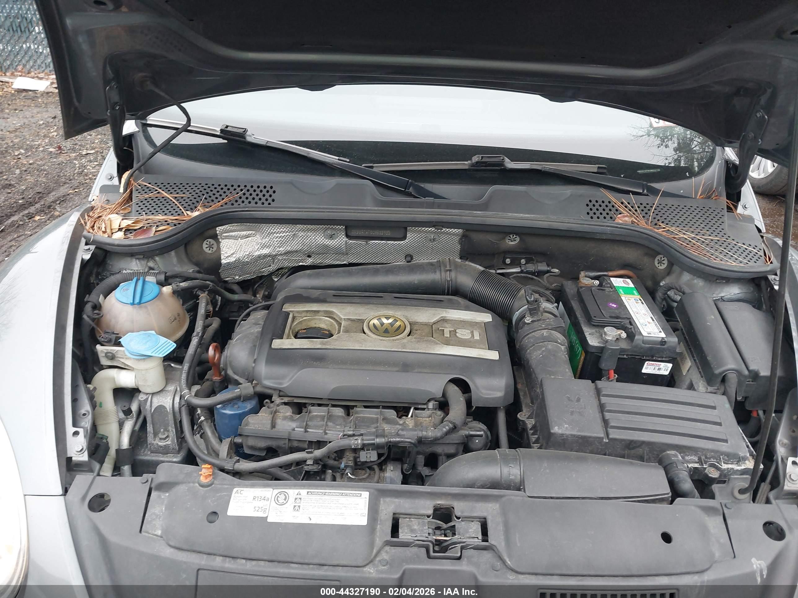 VOLKSWAGEN BEETLE image 10