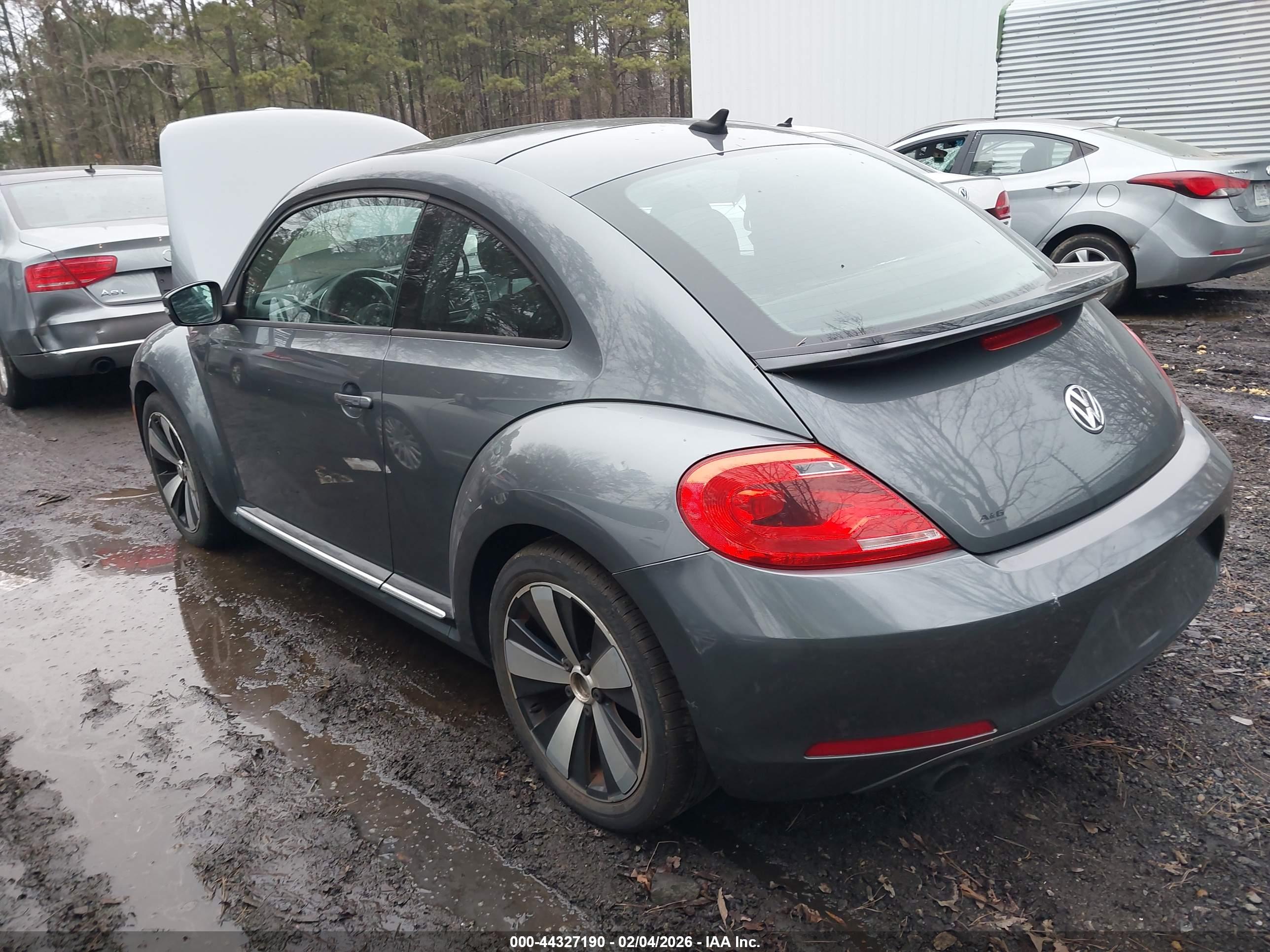 VOLKSWAGEN BEETLE image 3