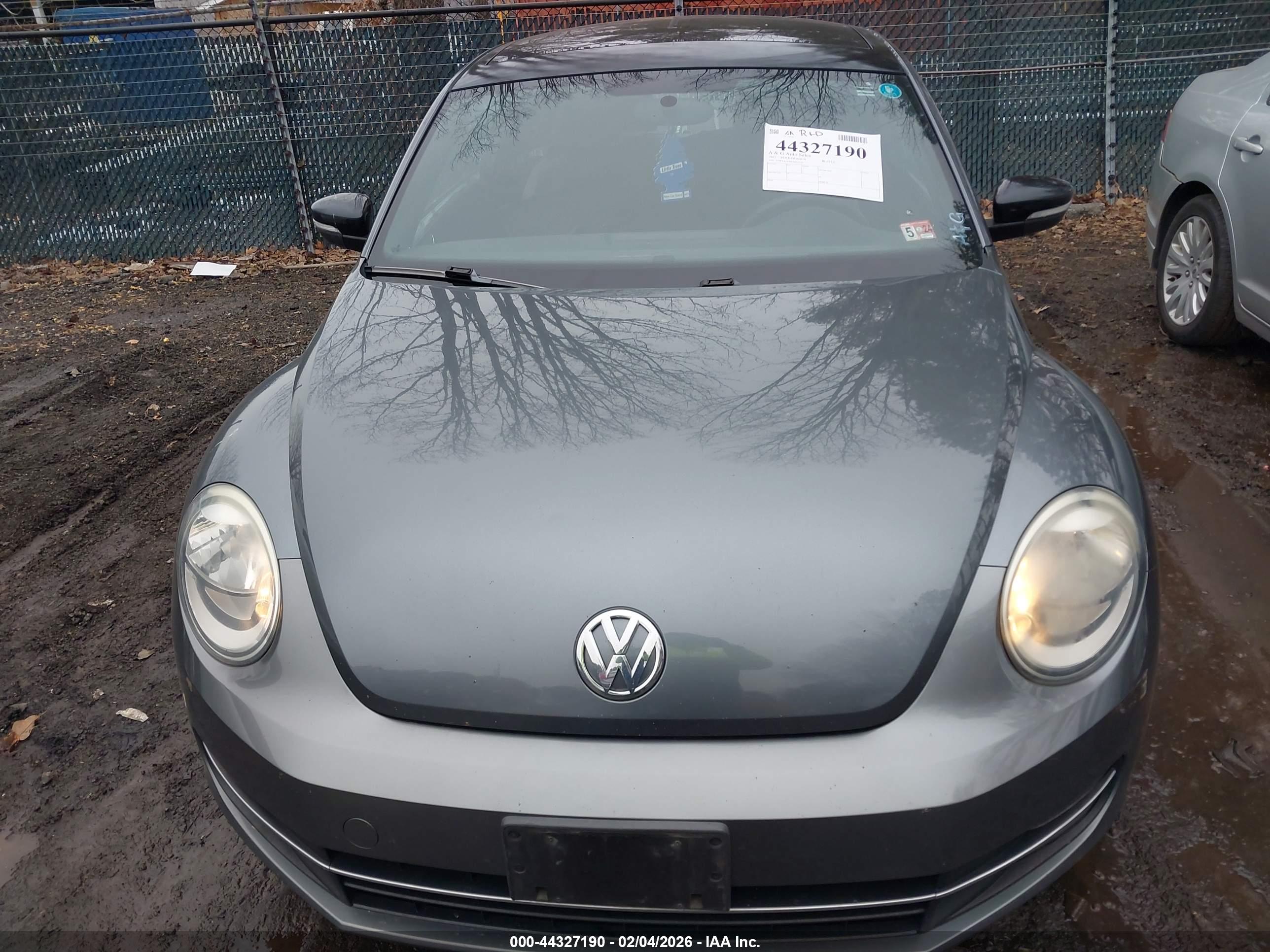 VOLKSWAGEN BEETLE image 6