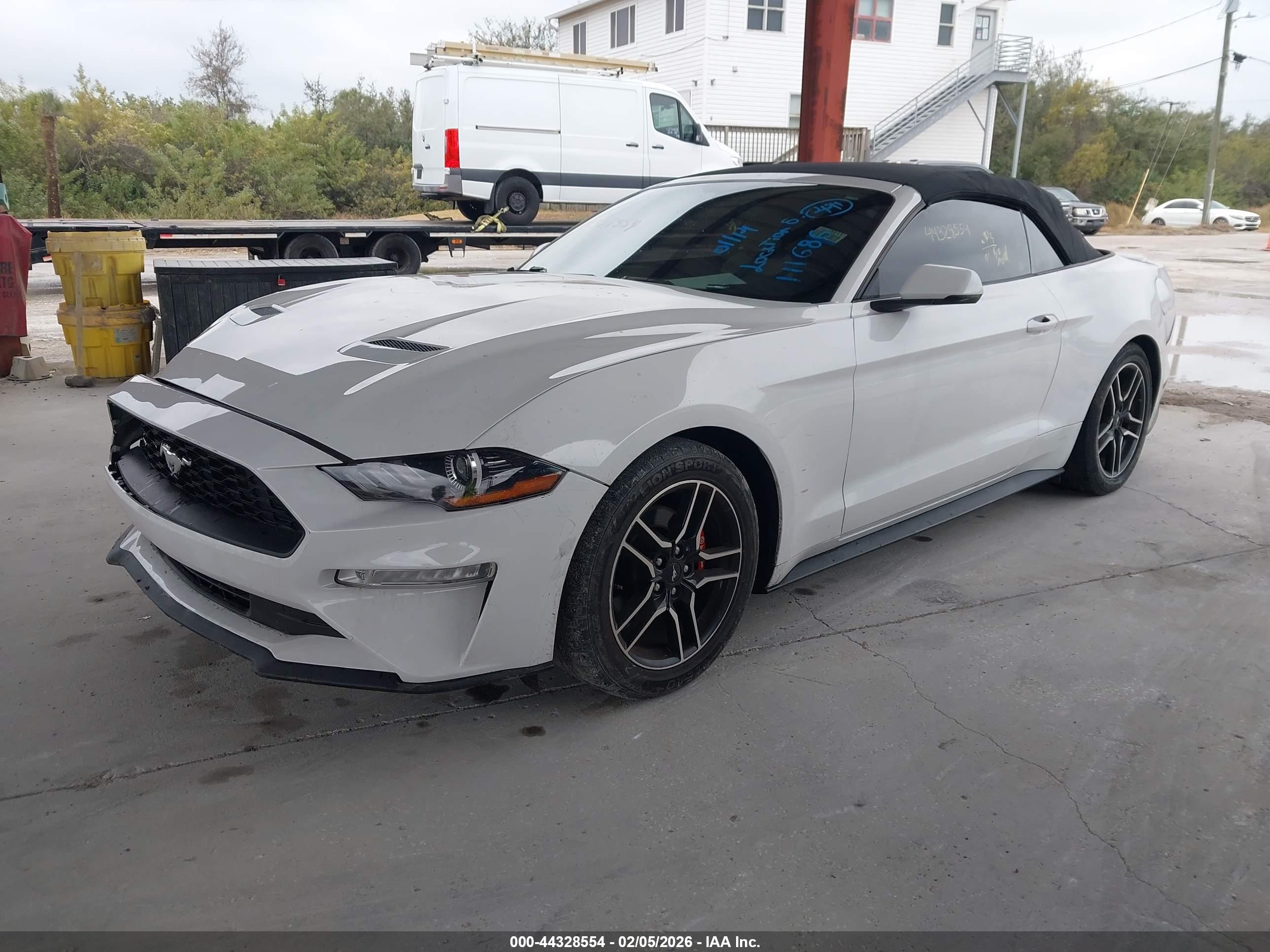 FORD MUSTANG image 2